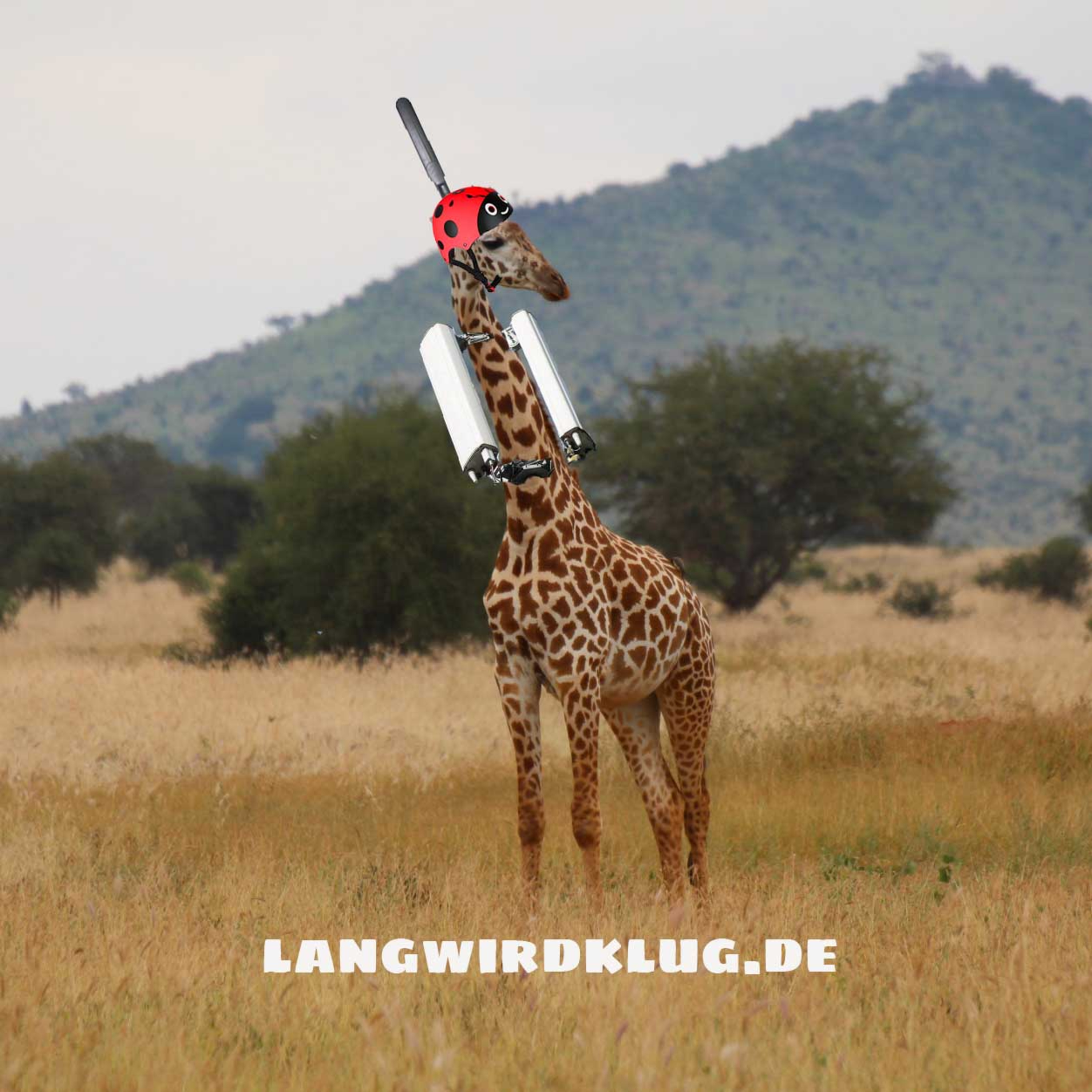 langwirdklug