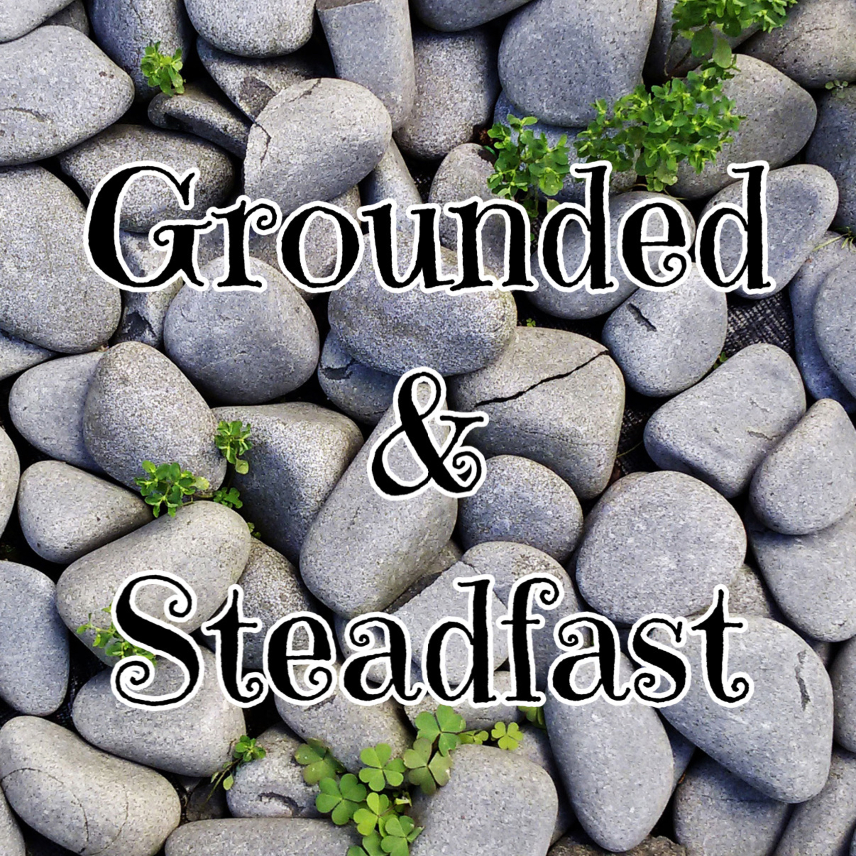 Grounded & Steadfast