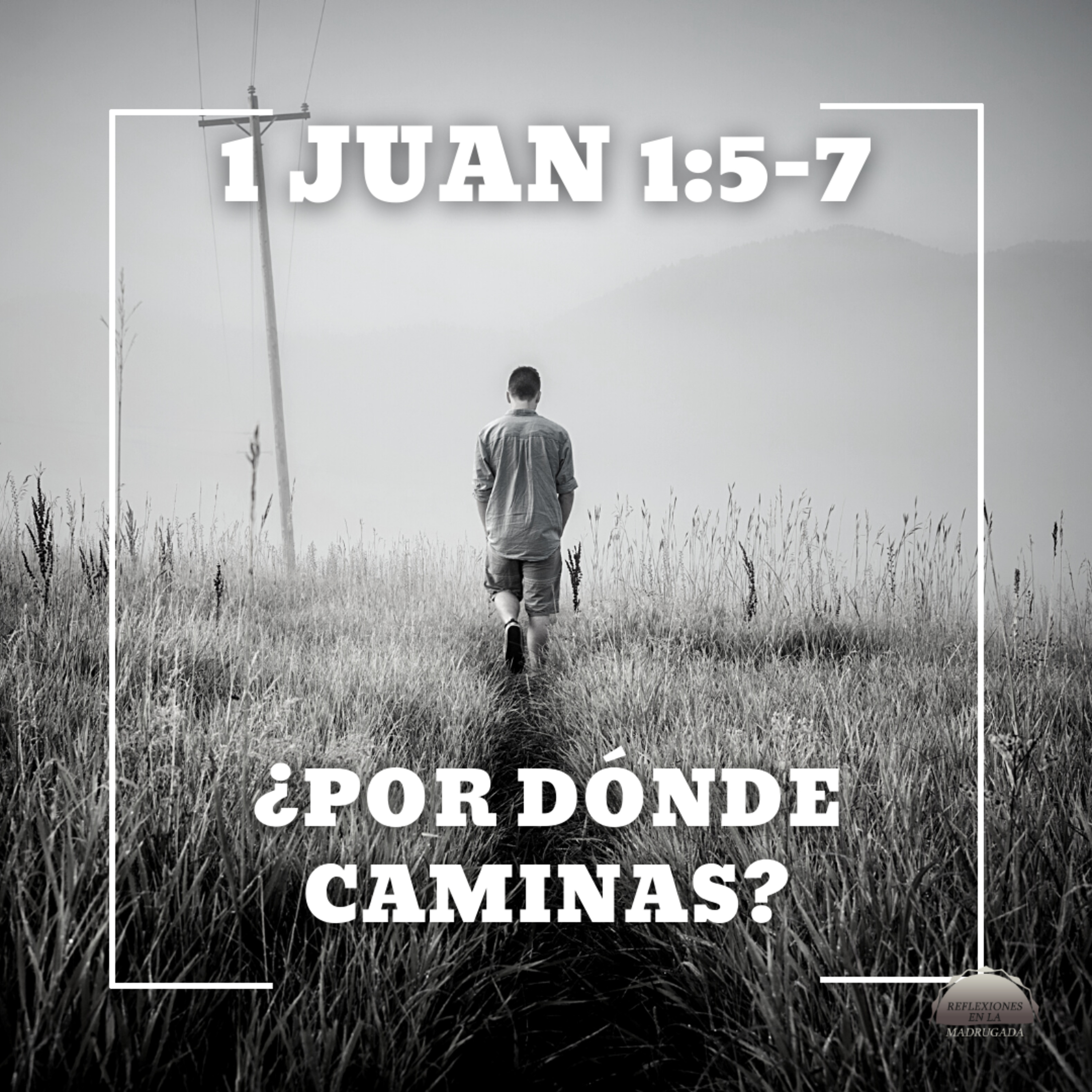 Reflexiones en la Madrugada
