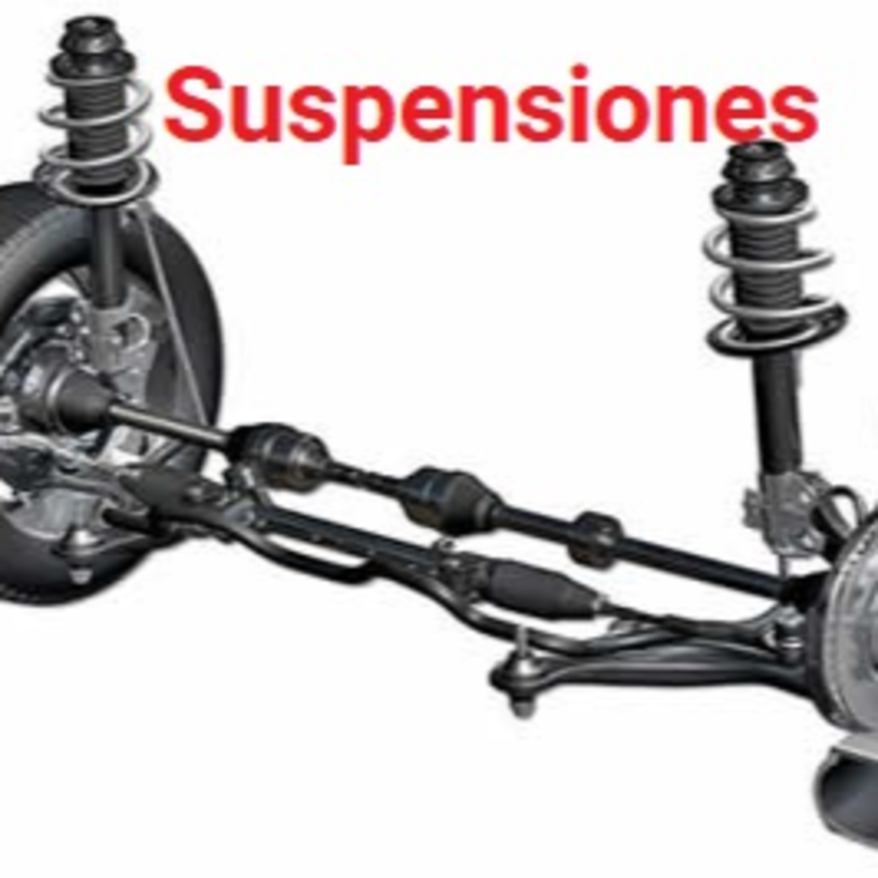 Linea Continua