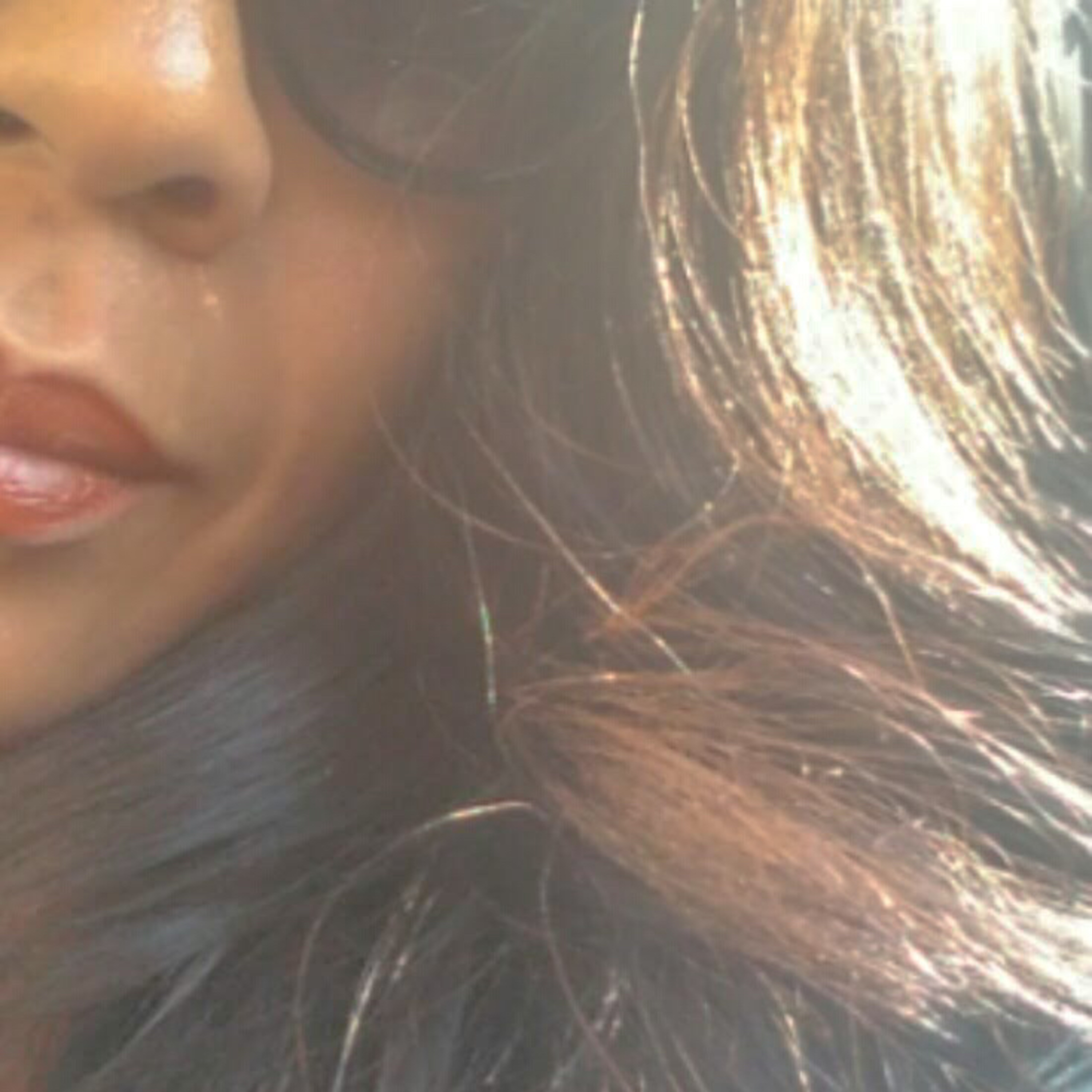 The Destruction Diaries