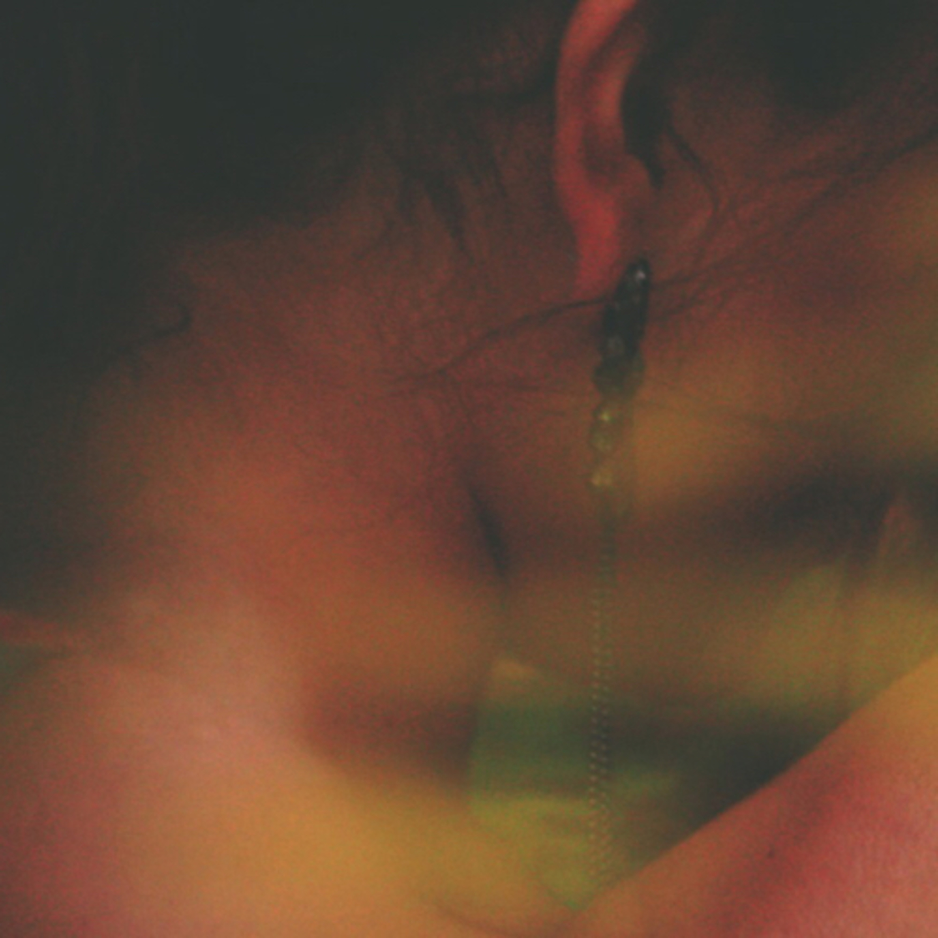 The Destruction Diaries