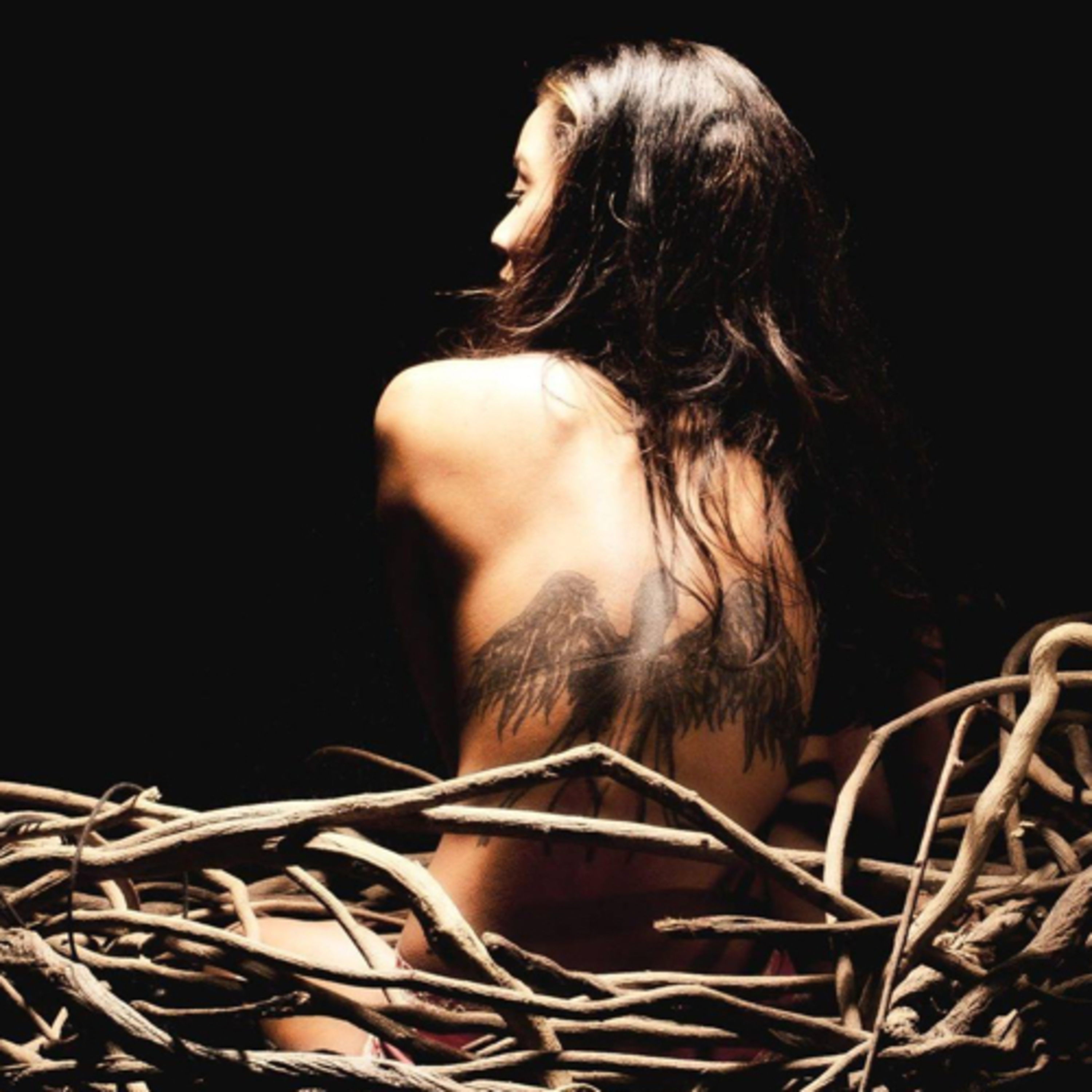 The Destruction Diaries