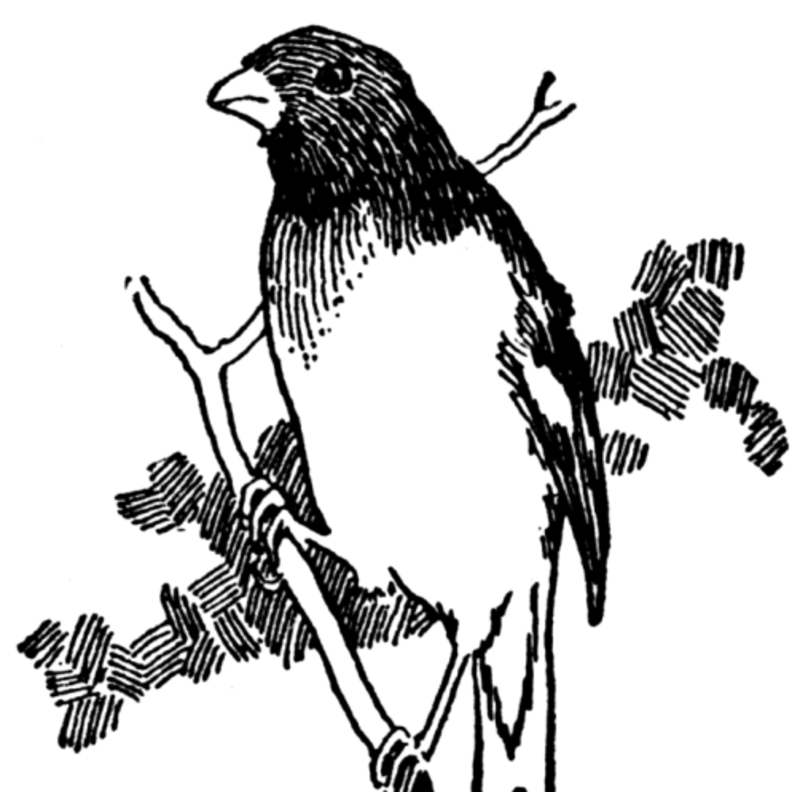 Improve Something Today