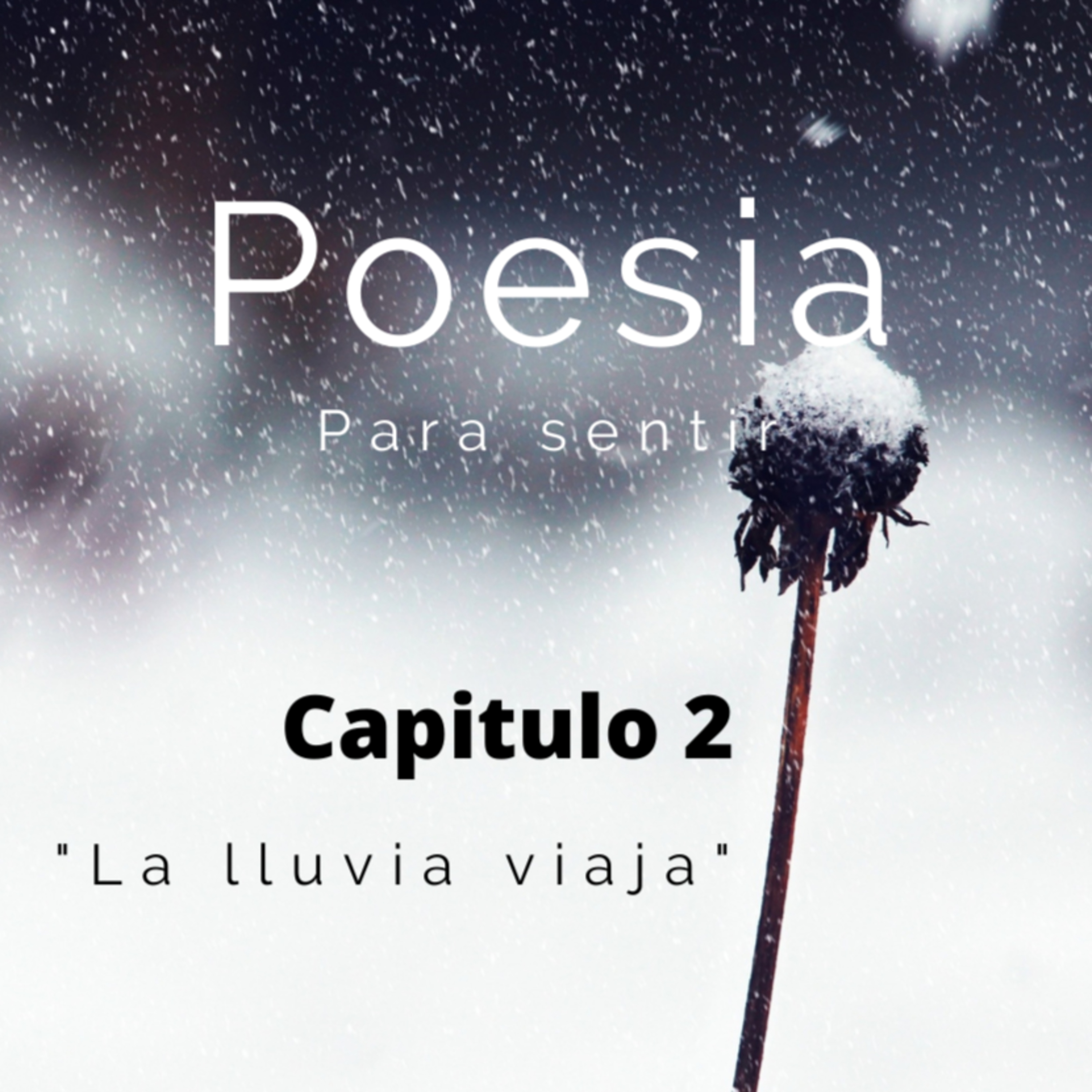 Poesía Para Sentir