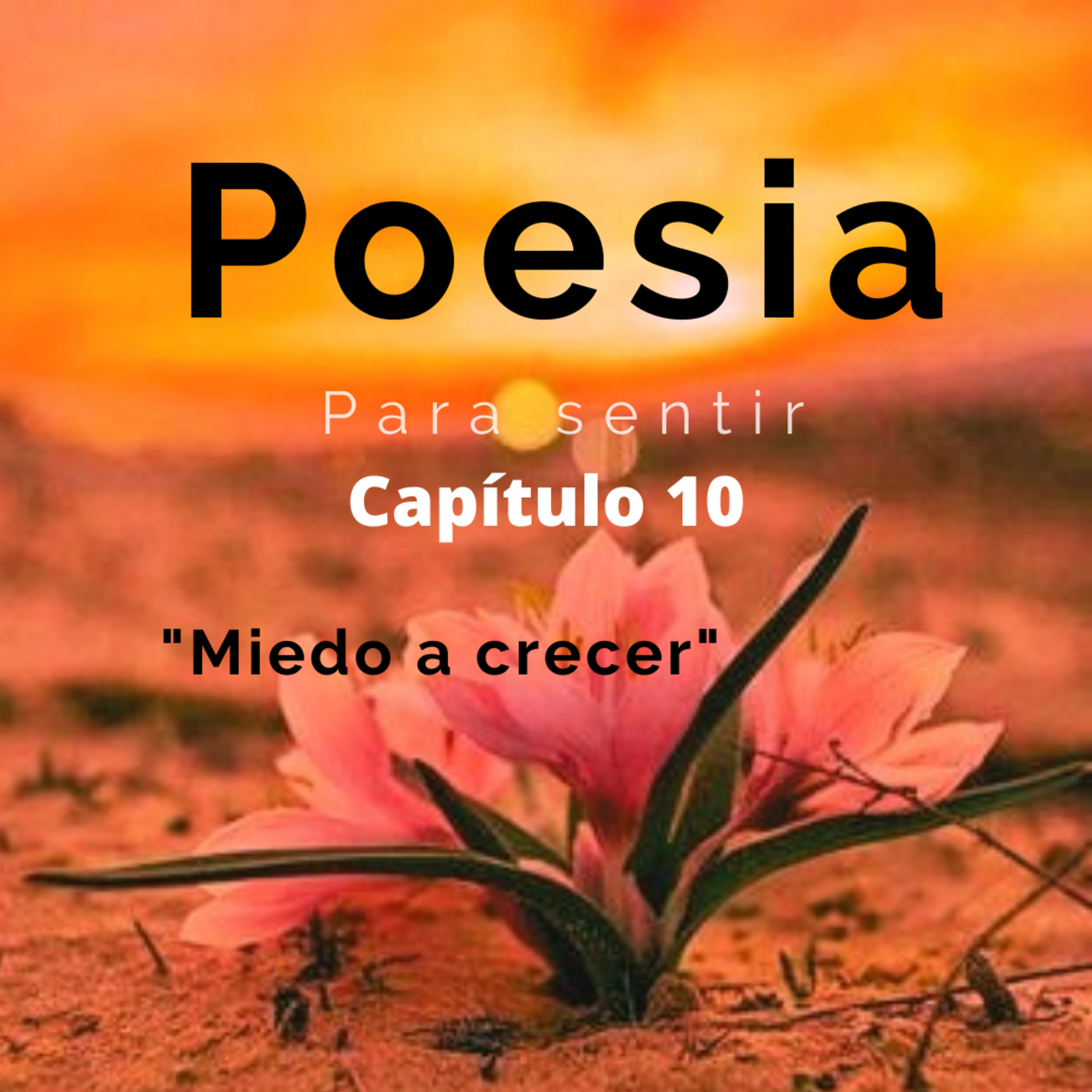Poesía Para Sentir
