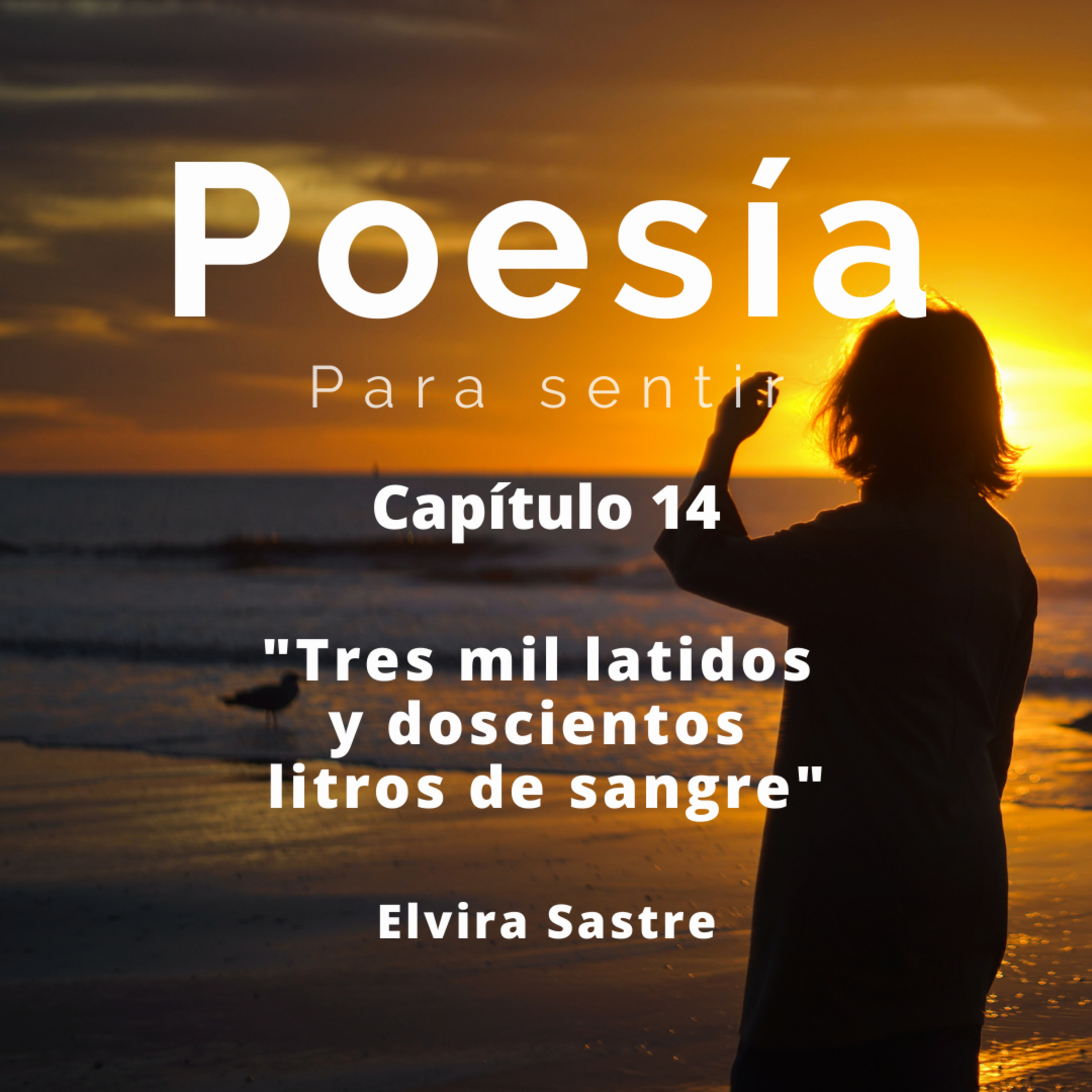Poesía Para Sentir