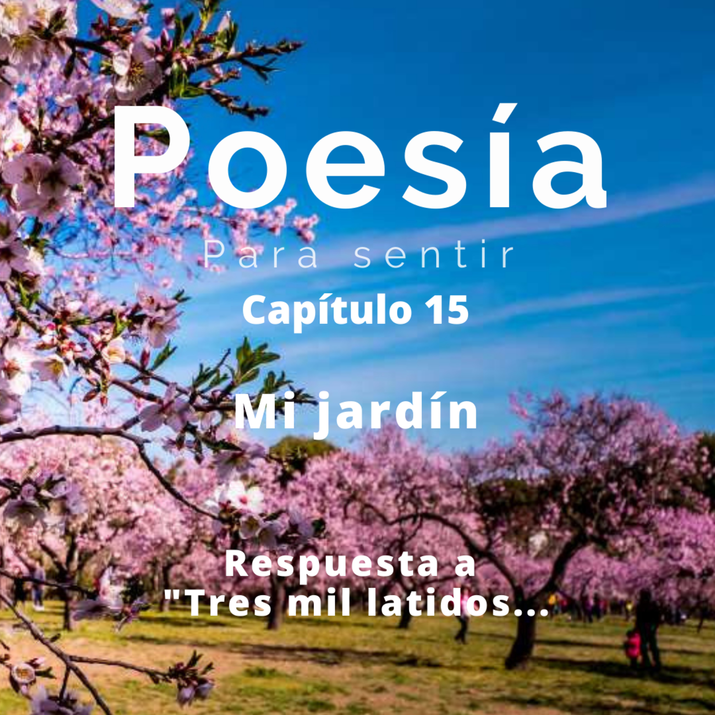 Poesía Para Sentir