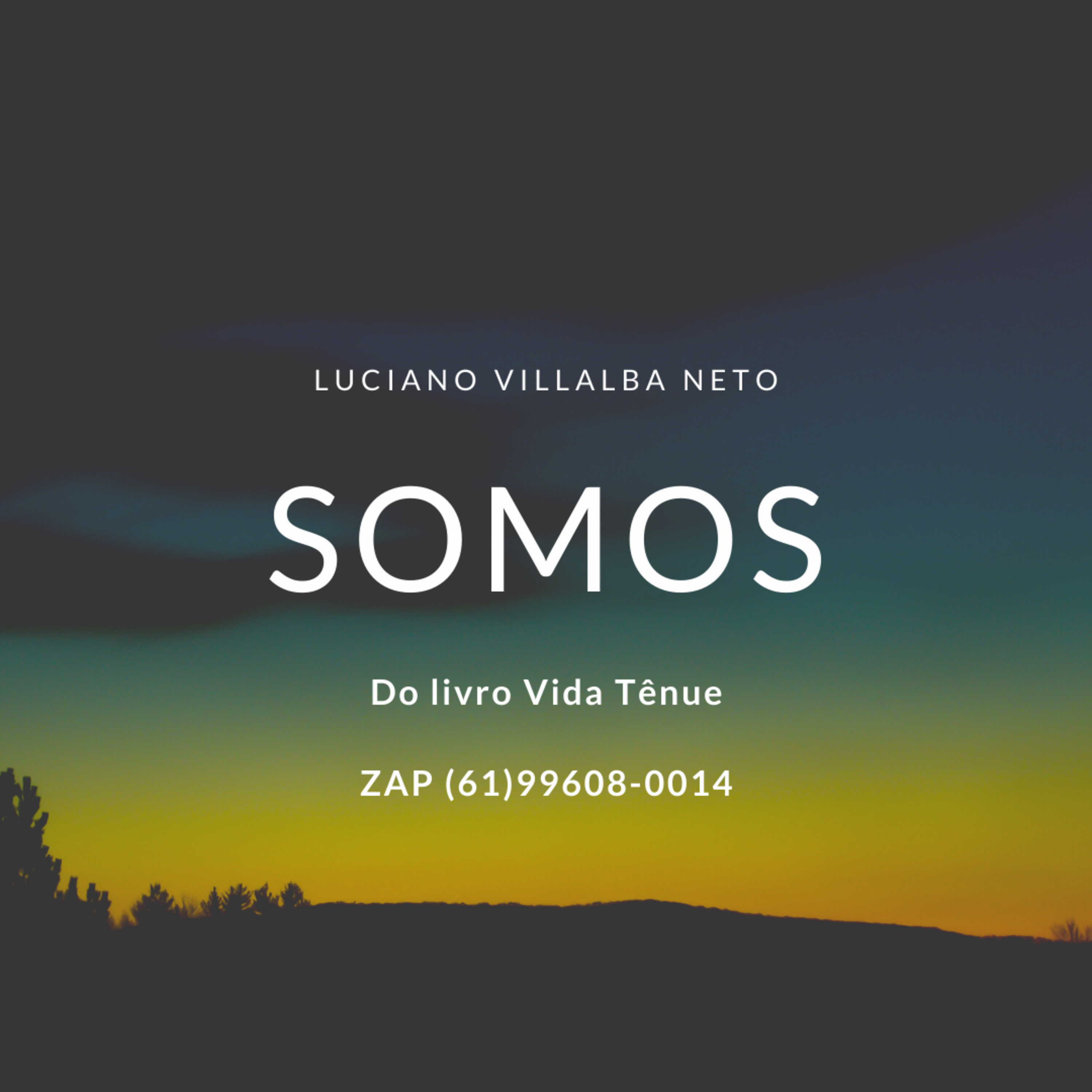 O poema "Somos", do livro Vida Tênue, de Luciano Villalba Neto