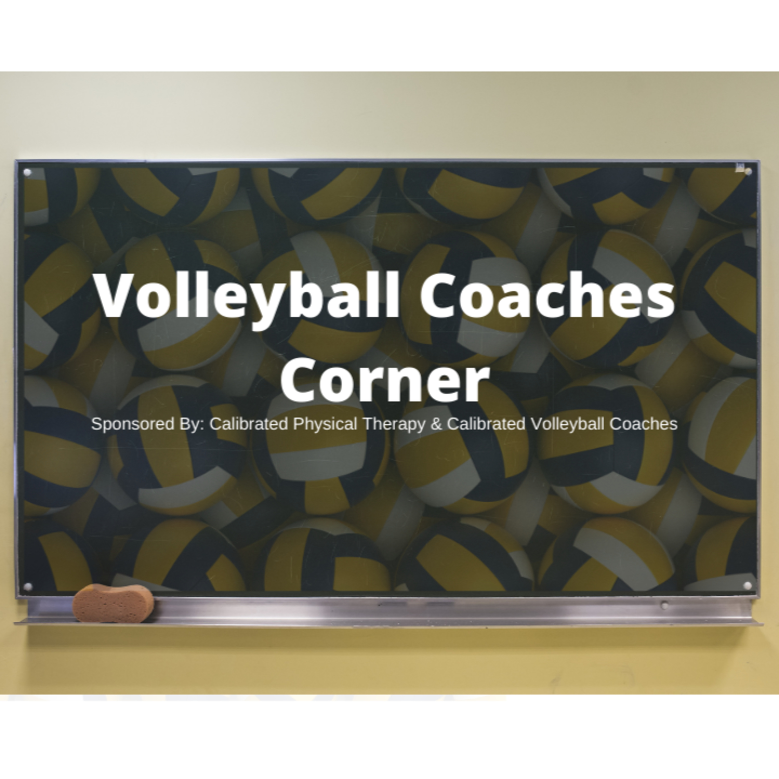 Volleyball Coaches Corner