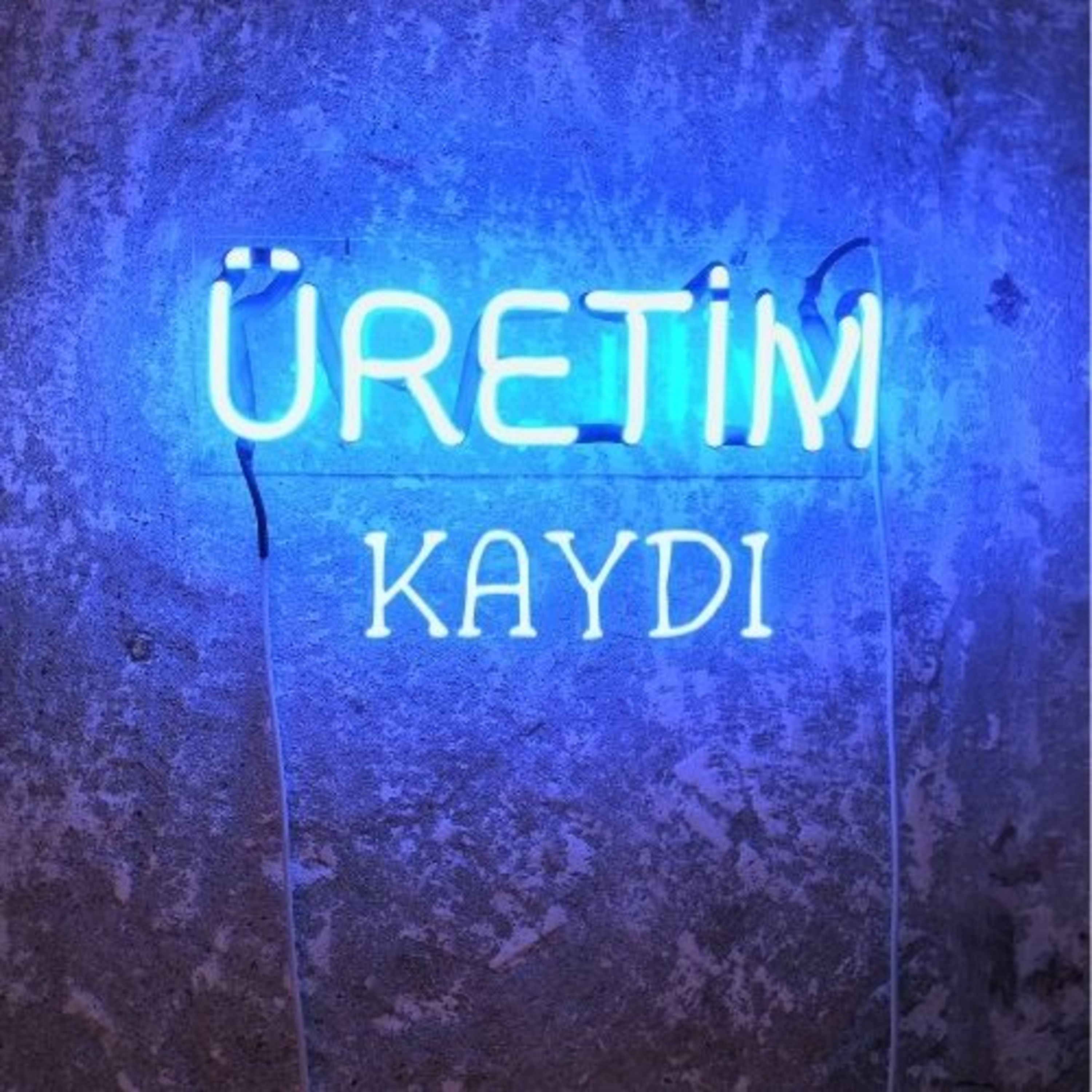 Üretim Kaydı