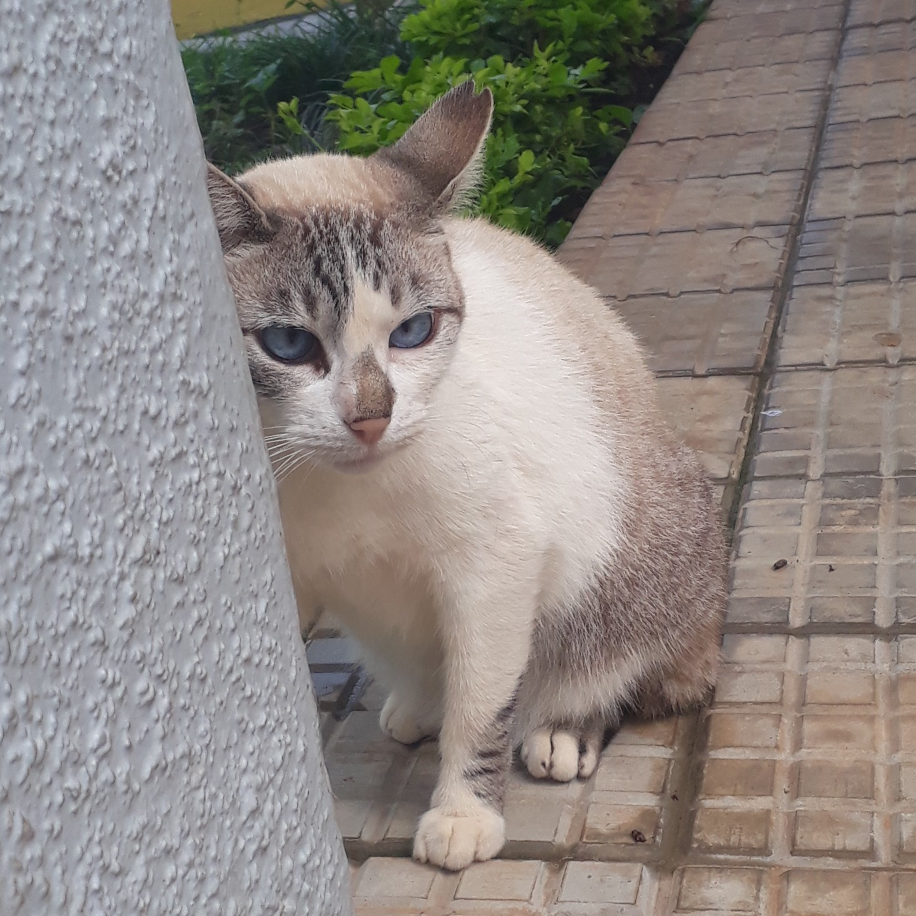 Consumerism post-pandemic episode artwork