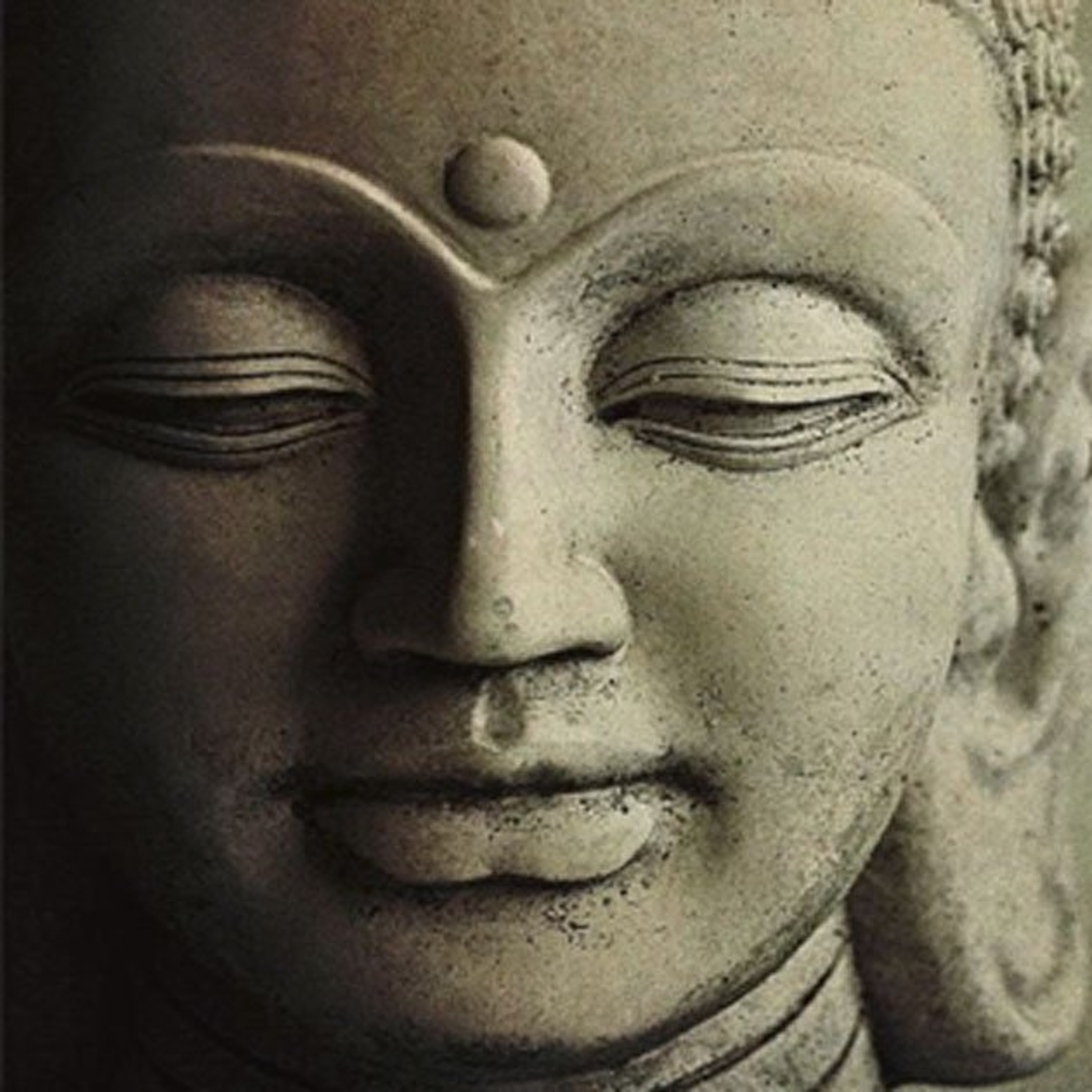 My Buddhist Buddy Dan Returns episode artwork