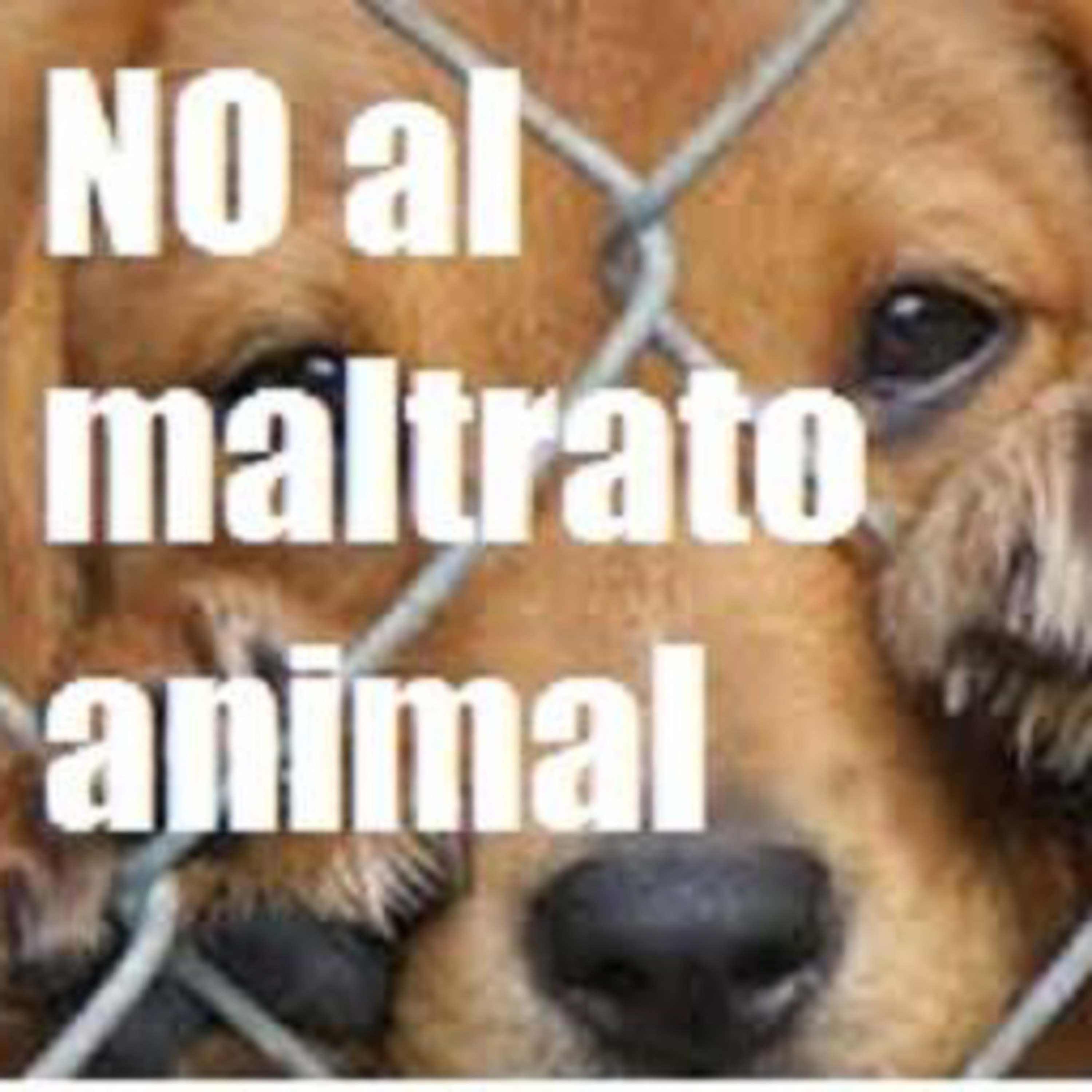 Todos contra el maltrato animal 