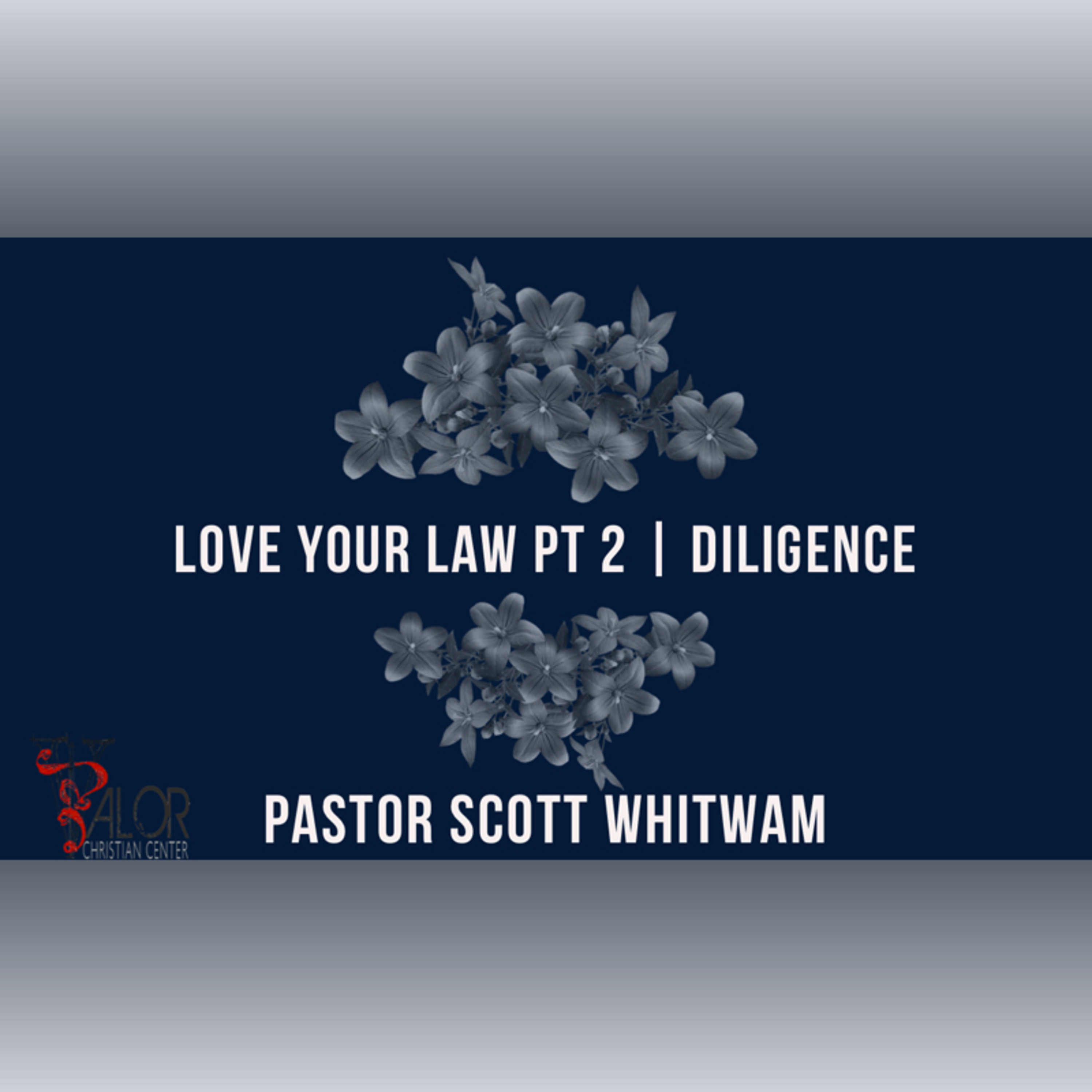 Love Your Law Pt 2 - Diligence | ValorCC | Pastor Scott Whitwam episode artwork