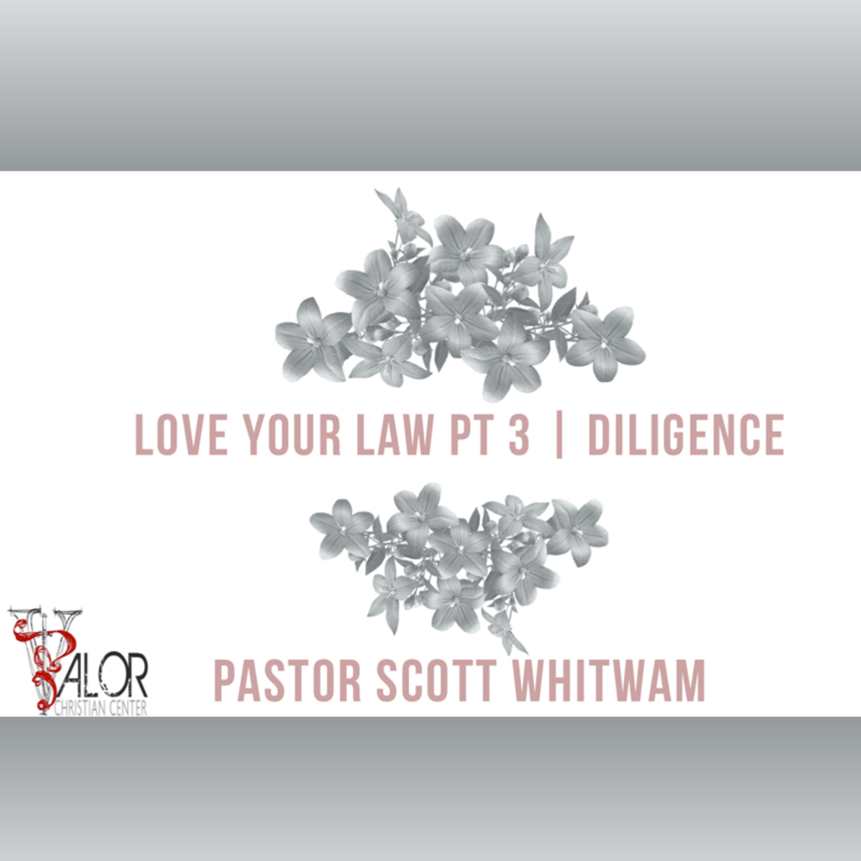 Love Your Law Pt 3 - Diligence | ValorCC | Pastor Scott Whitwam episode artwork