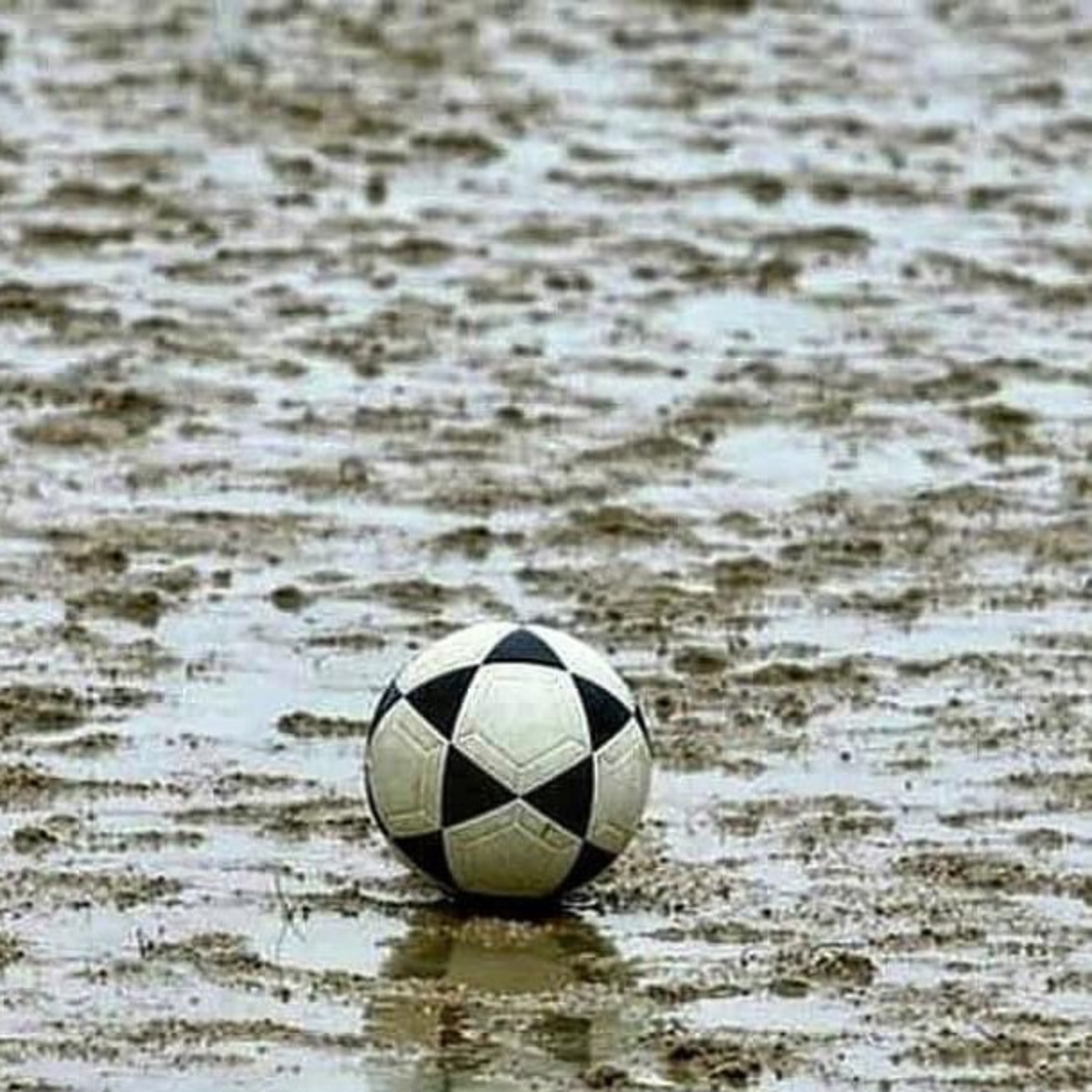 LOS Primates Del Fútbol