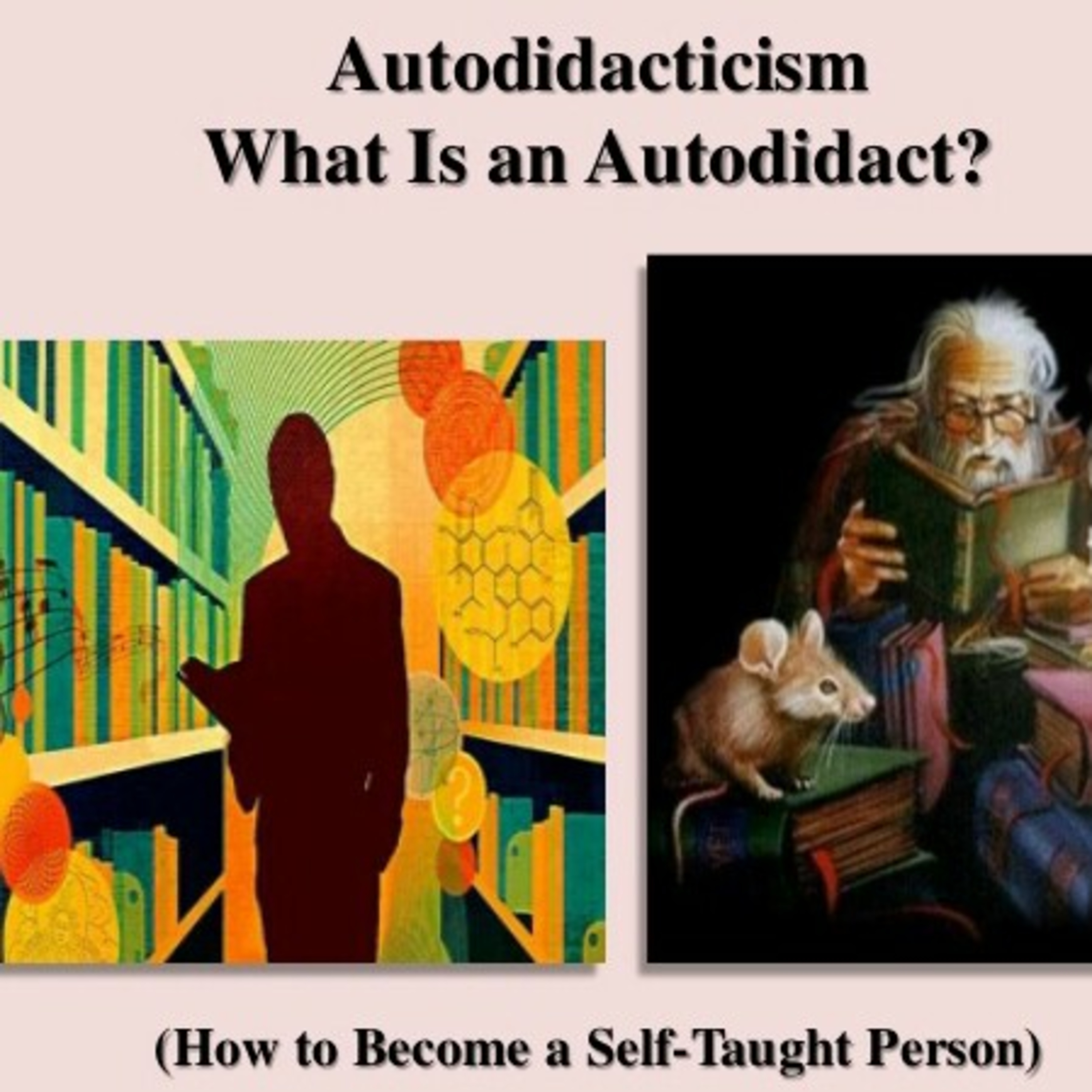 Autodidacticism  episode artwork