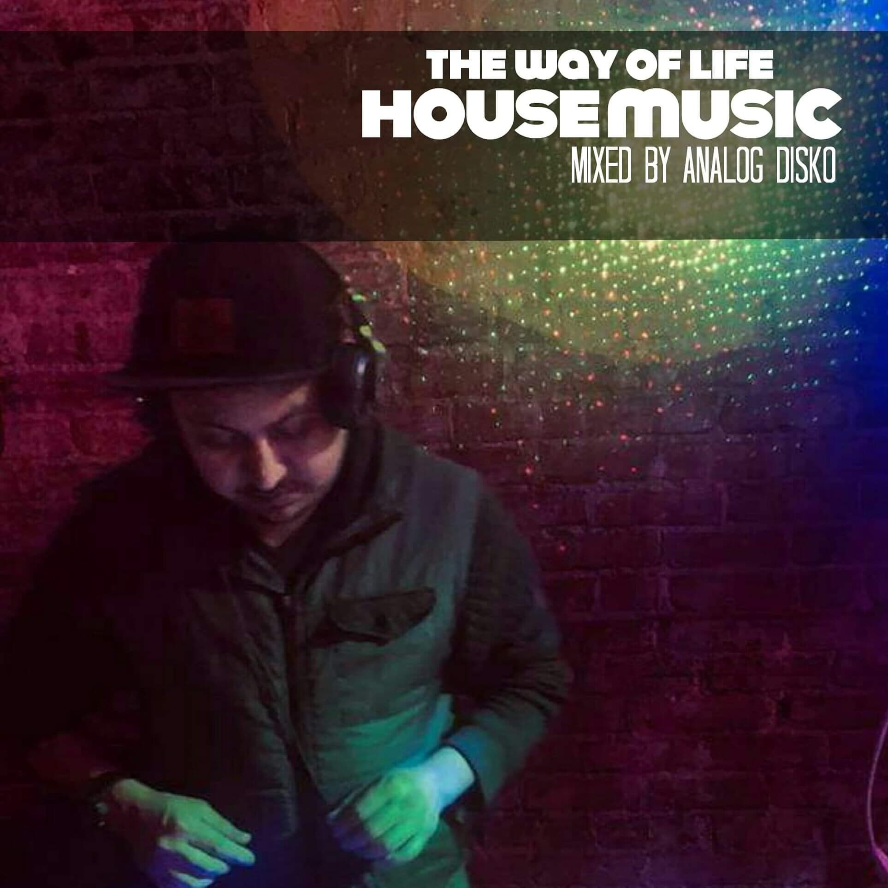 ANALOG DISKO - The Way of Life HOUSE MUSIC
