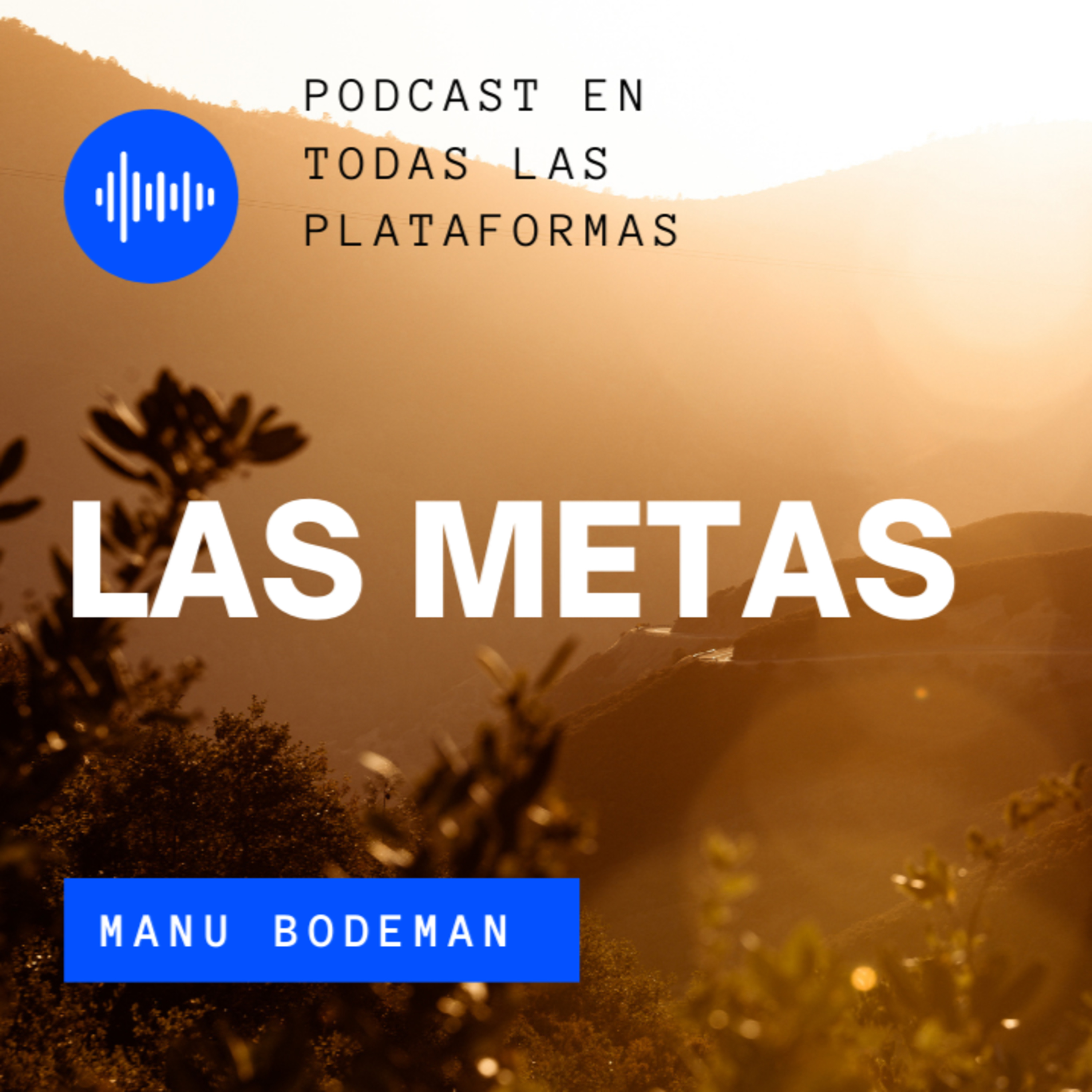 Visión Alternativa