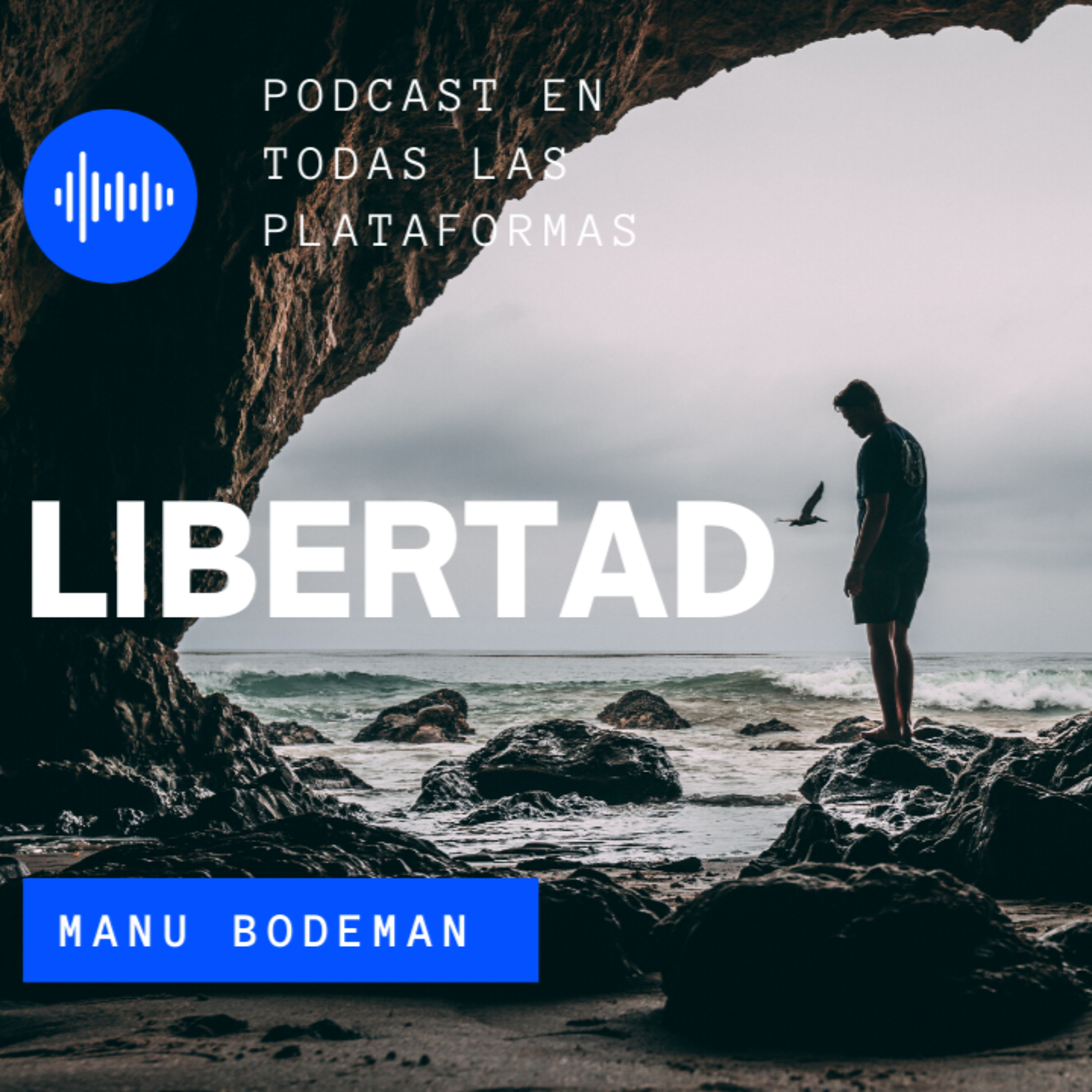 Visión Alternativa