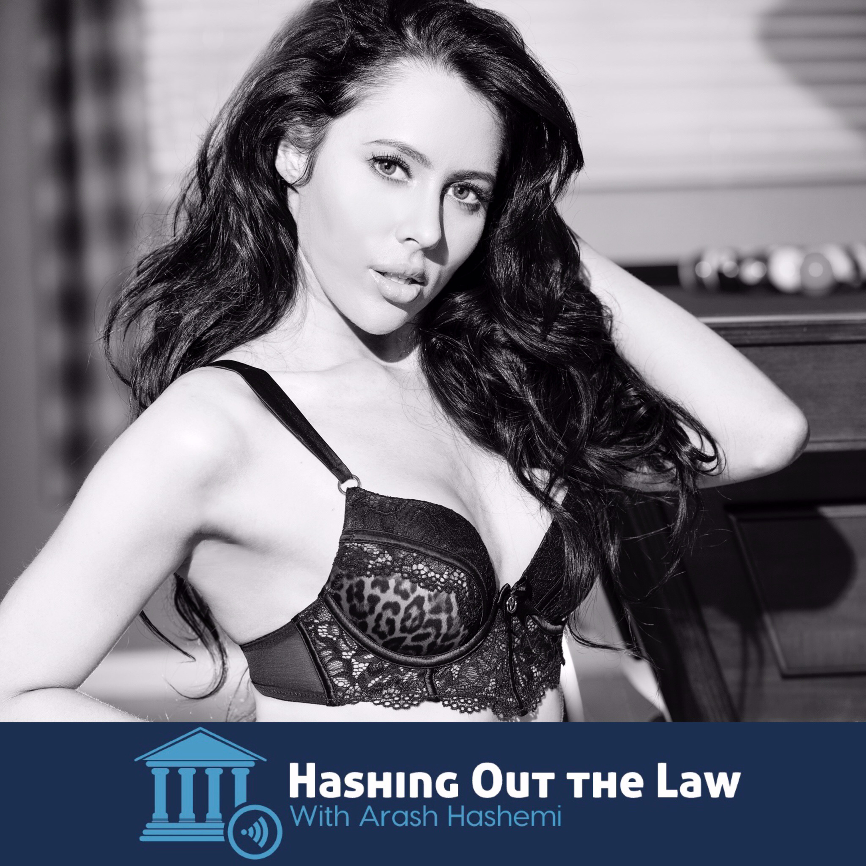 Hashing Out the Law
