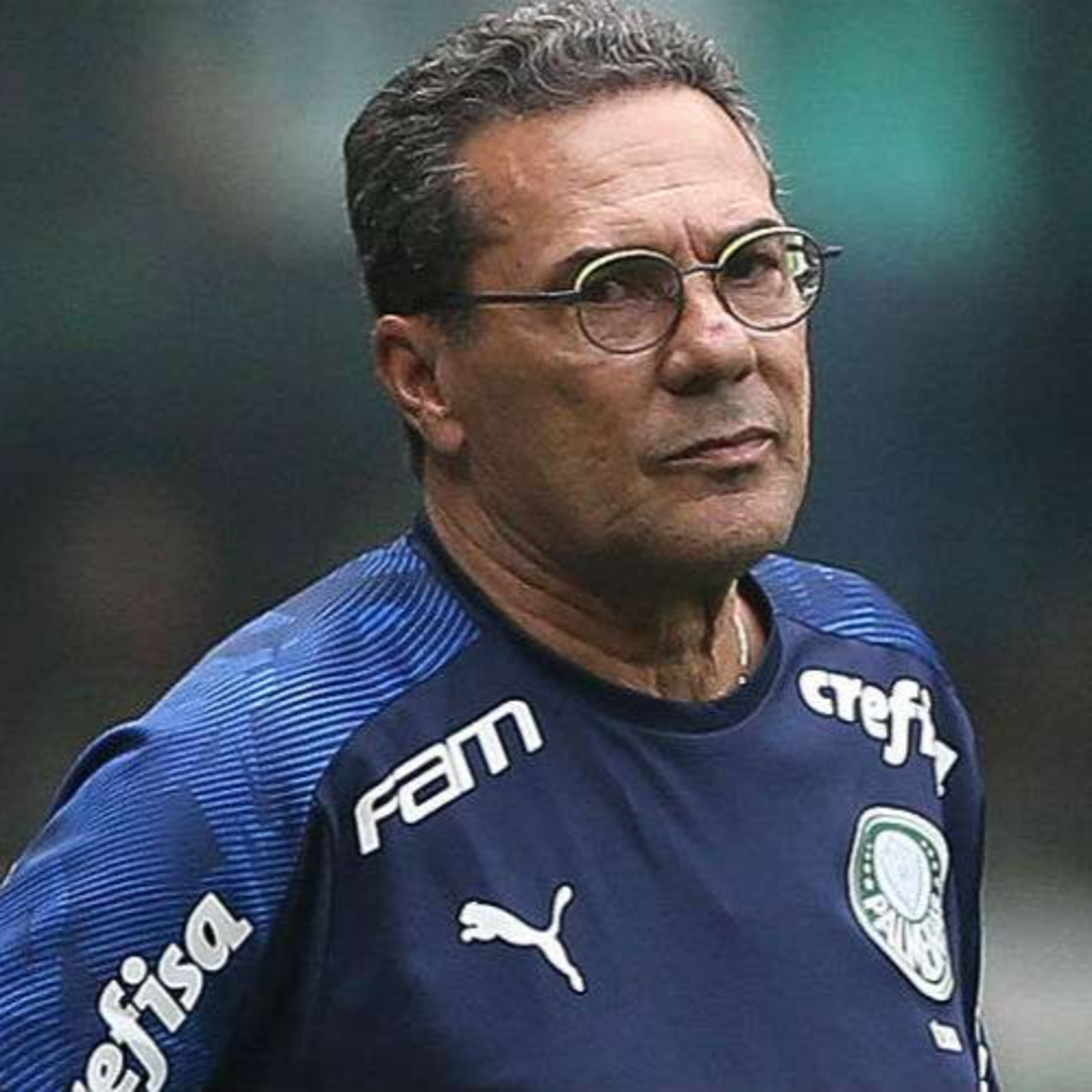 Porco Station - A central de mídia onde o Palmeiras é o mais importante