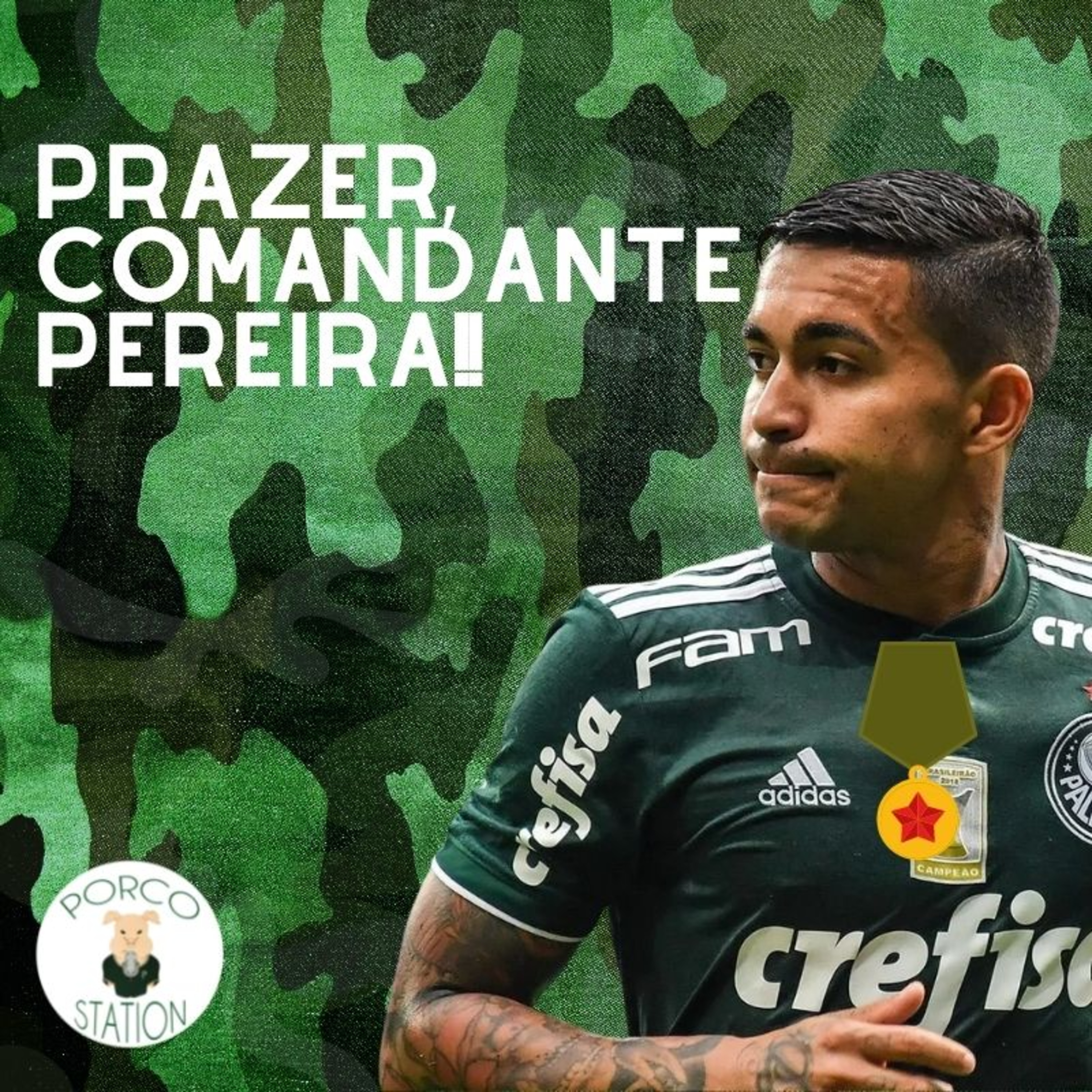 Opinião Suína #7- Dudu prova que está de volta e vai comandar o Palmeiras episode artwork