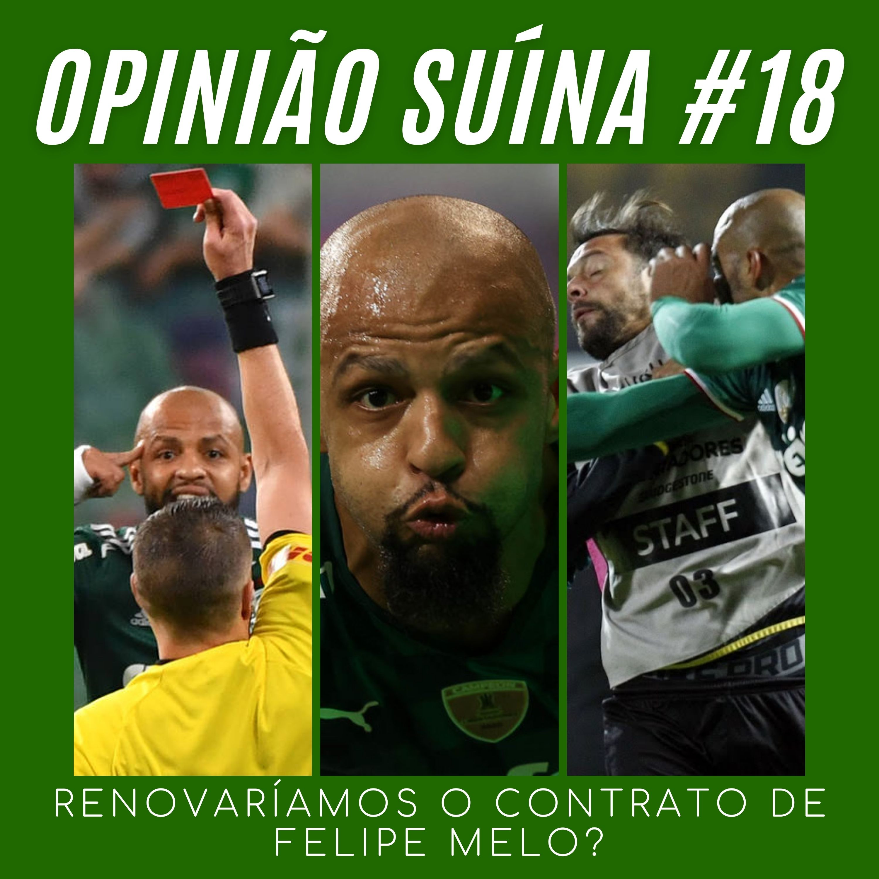 Opinião Suína #18- Renovaríamos com Felipe Melo? episode artwork