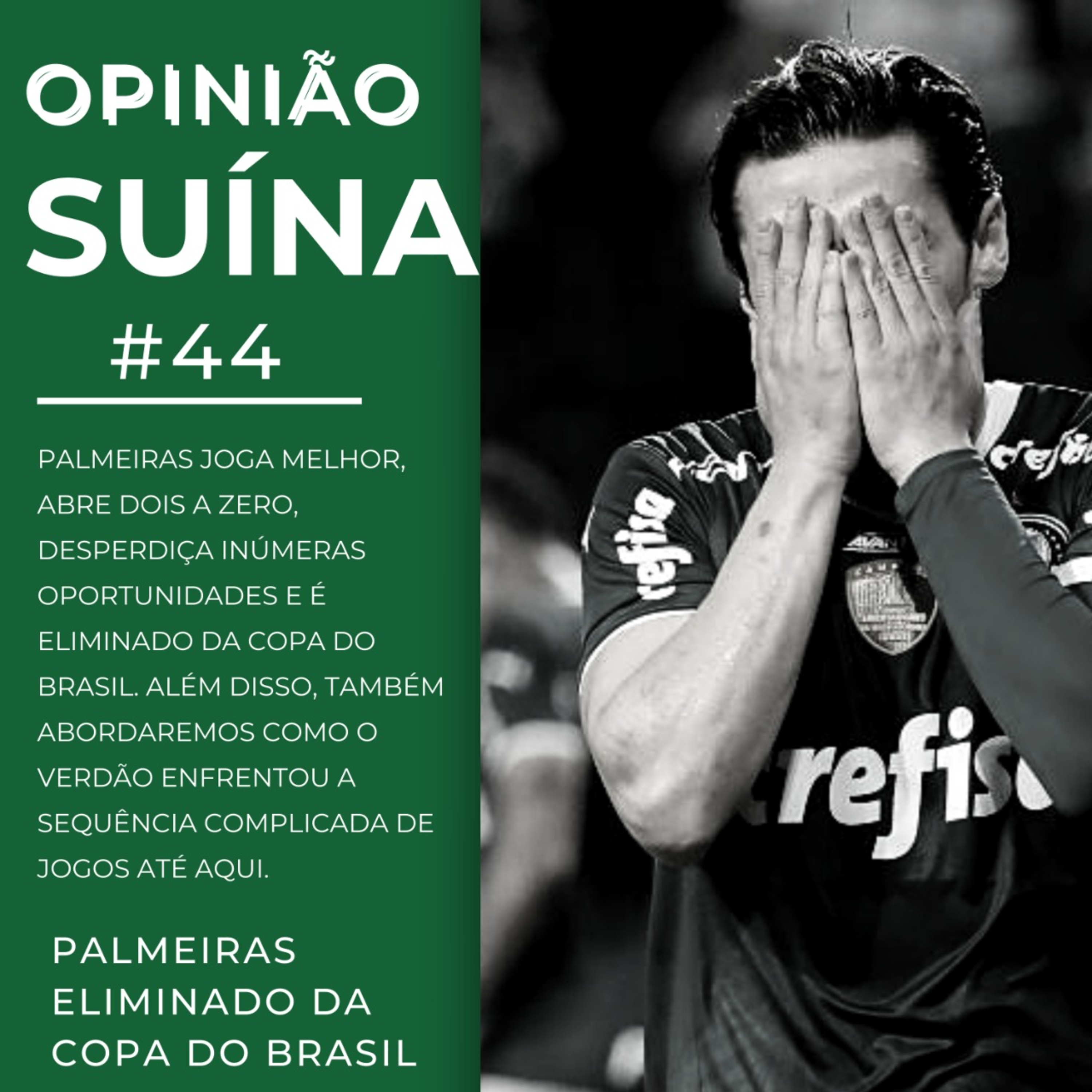 Opinião Suína #44- Palmeiras eliminado da Copa do Brasil episode artwork