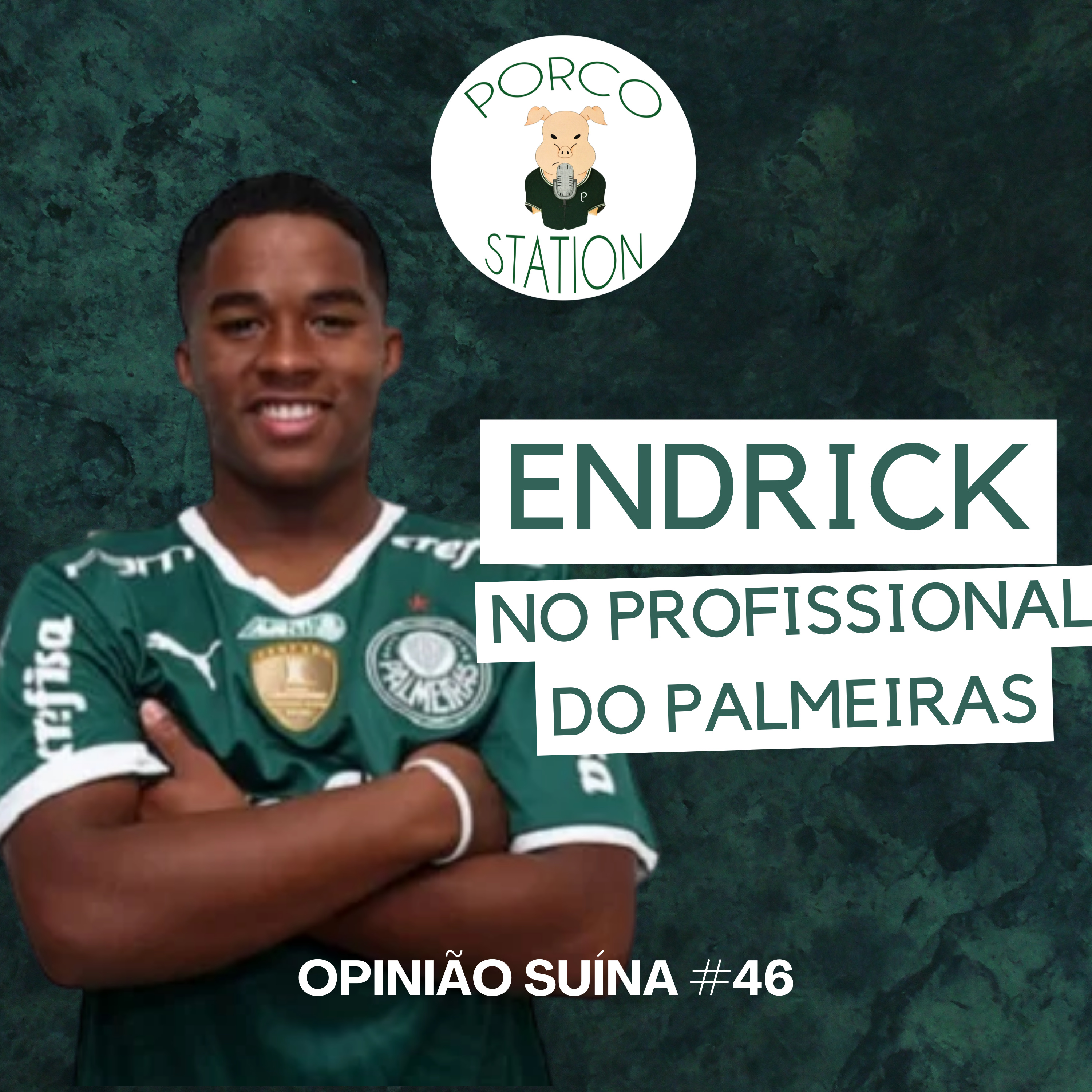 Opinião Suína #46: Endrick no profissional do Palmeiras episode artwork