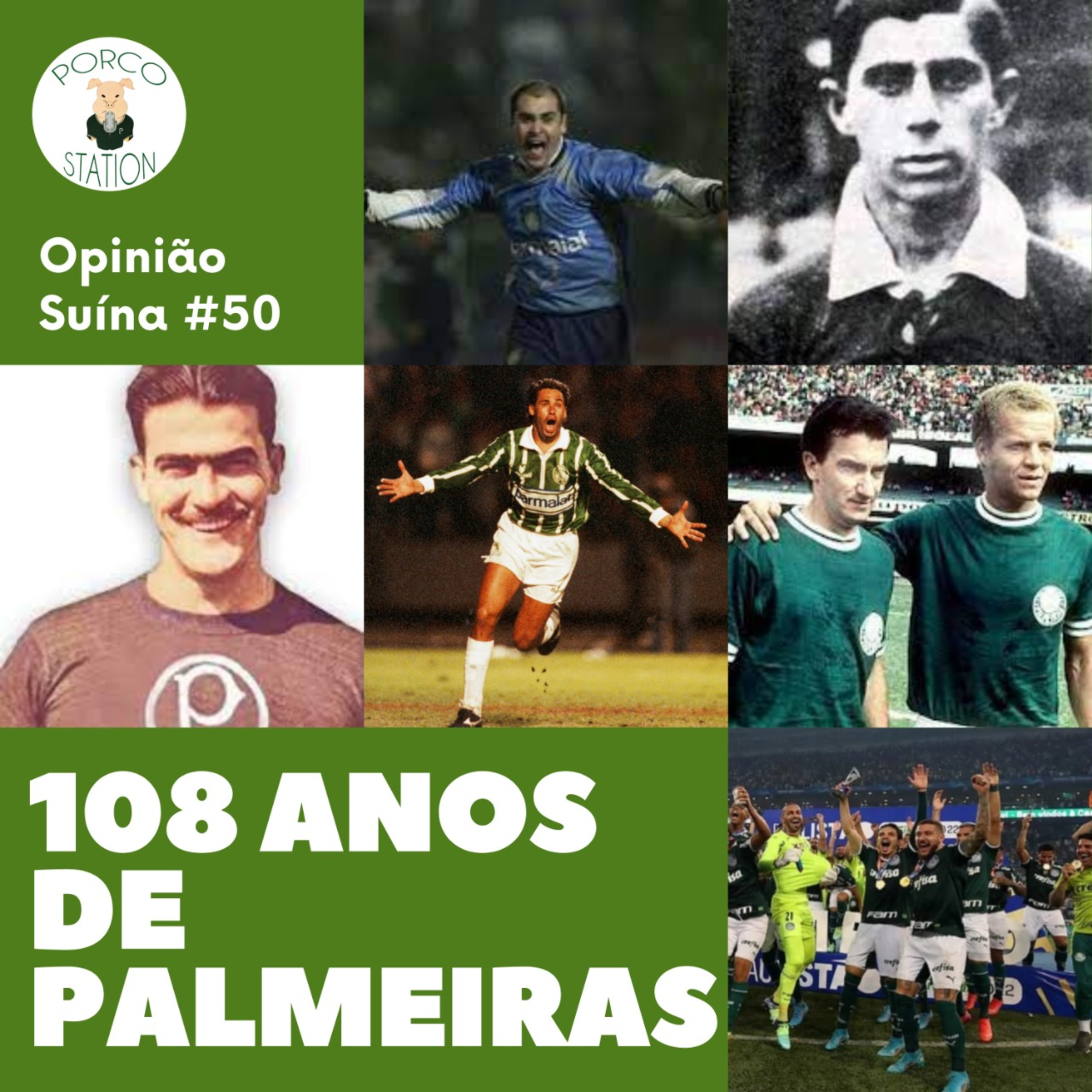 Opinião Suína #50- 108 anos do Palmeiras episode artwork