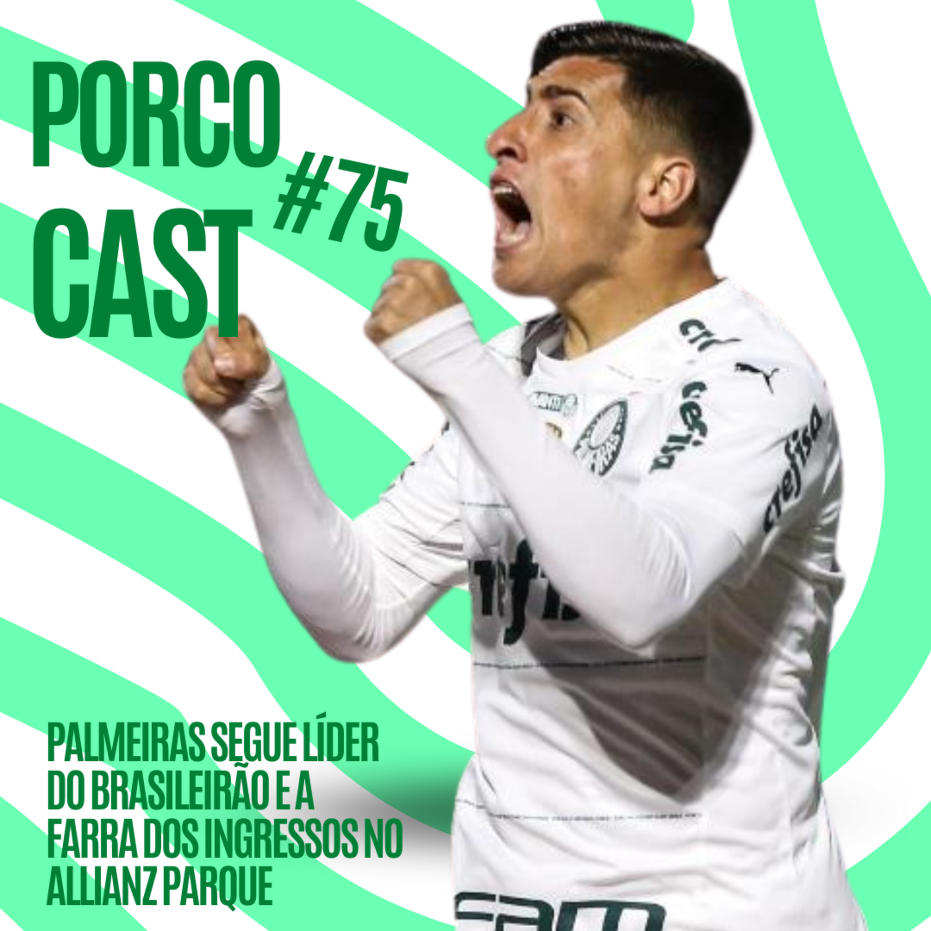 Porco Station - A central de mídia onde o Palmeiras é o mais importante