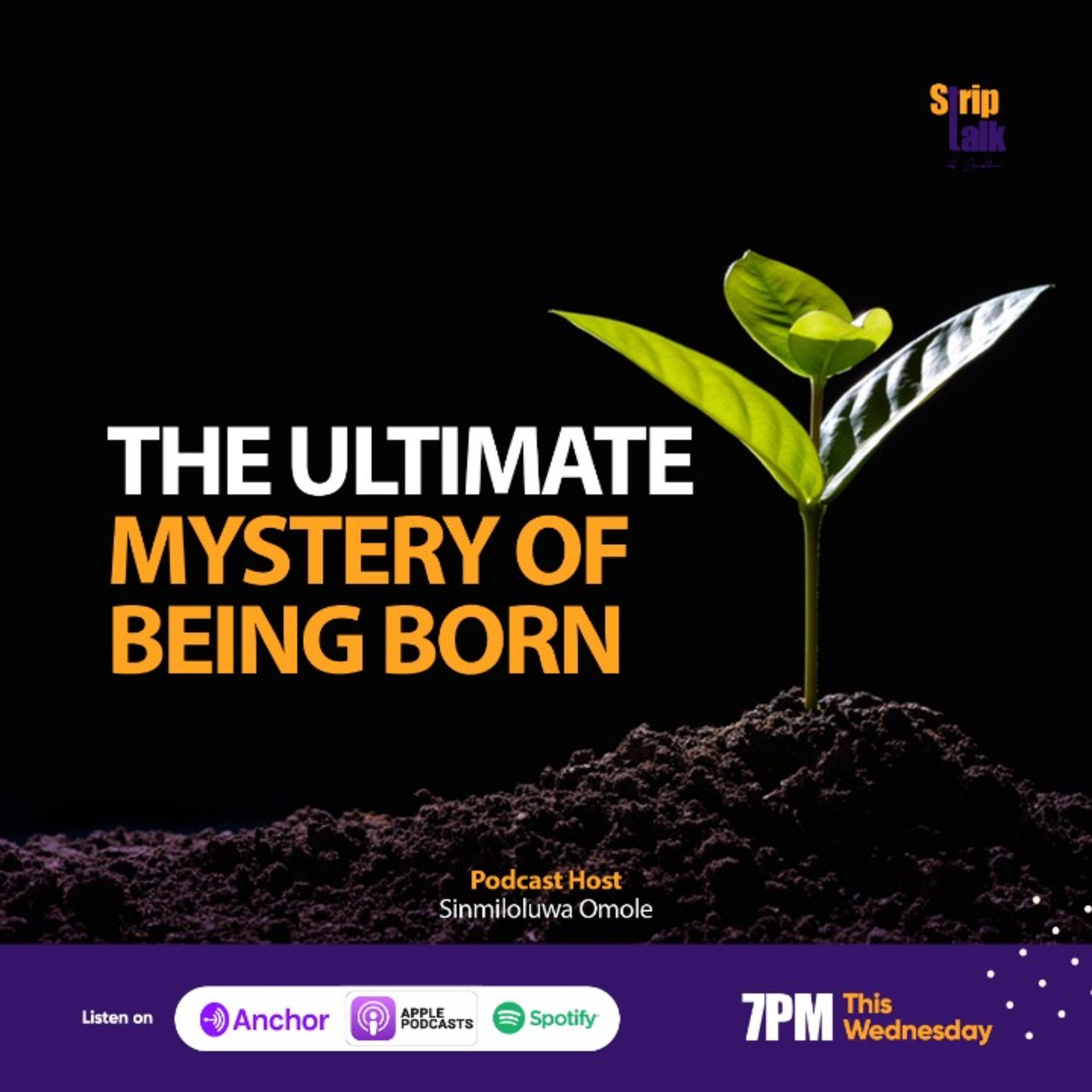 Striptalk with Sinmiloluwa