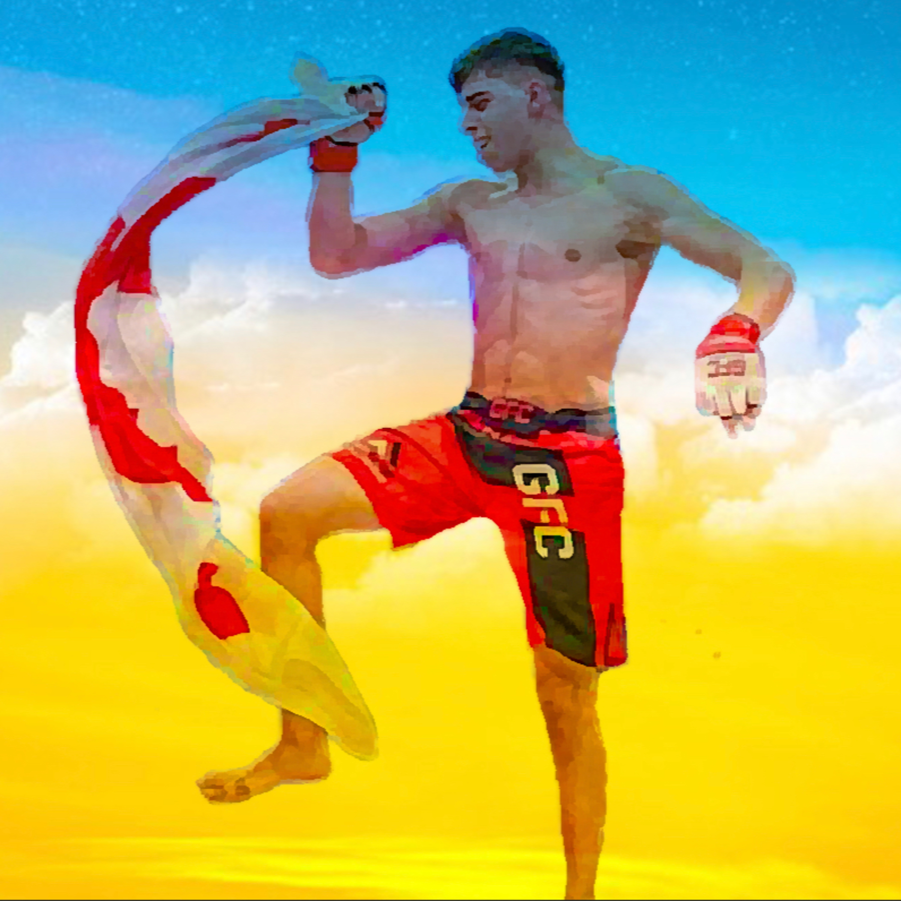 Fight Hop