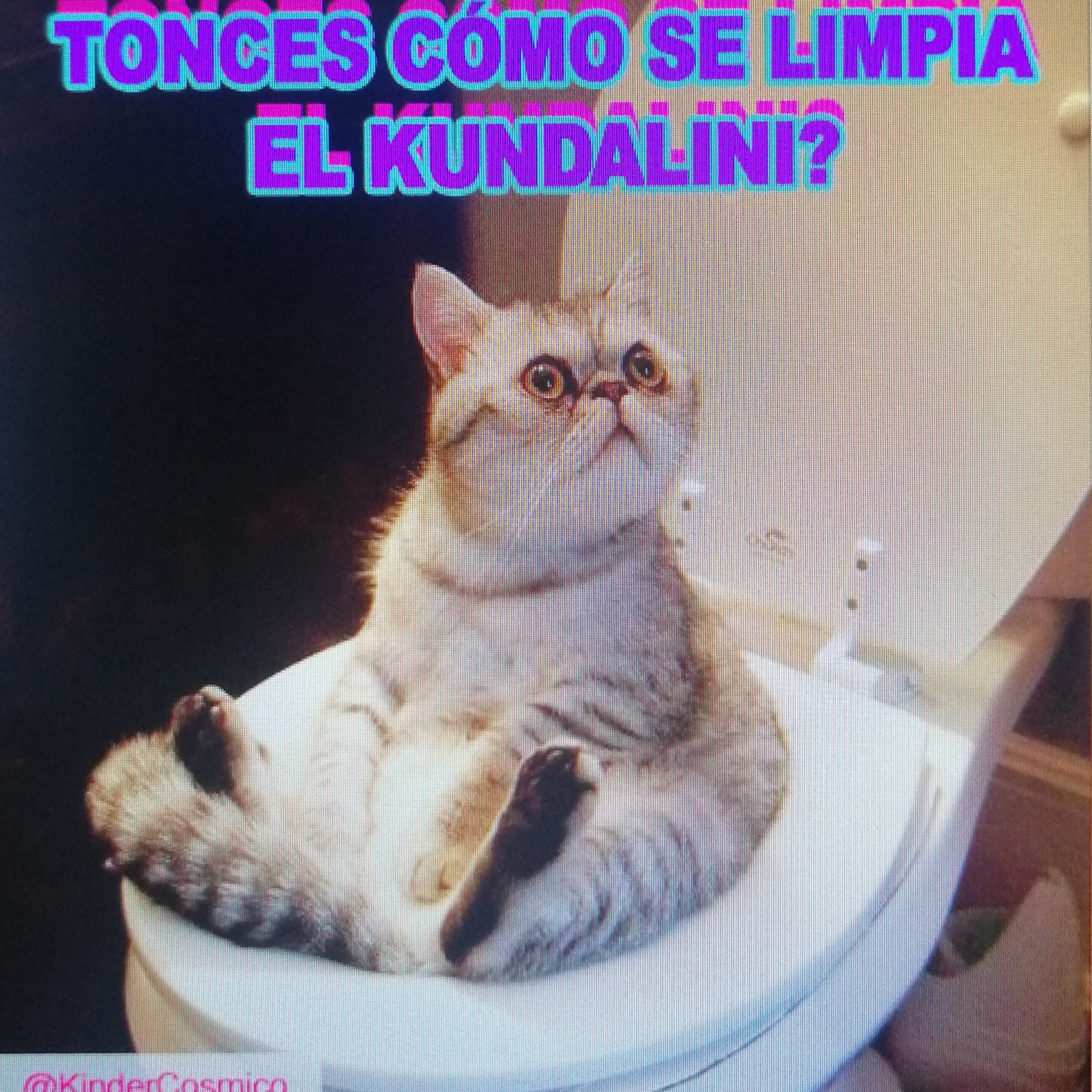 Kinder Cósmico