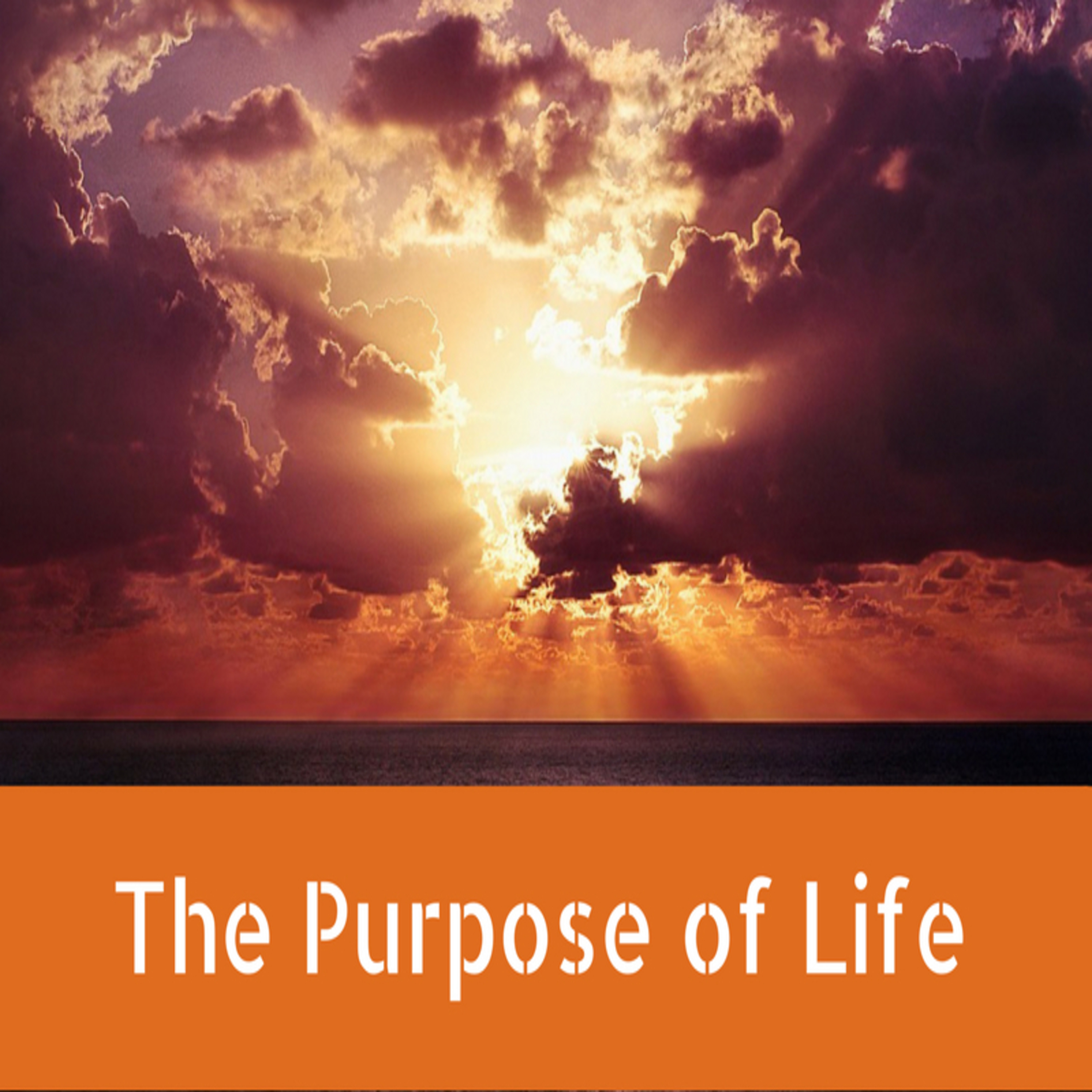 The Purpose of Life - By Quran Academy  episode artwork