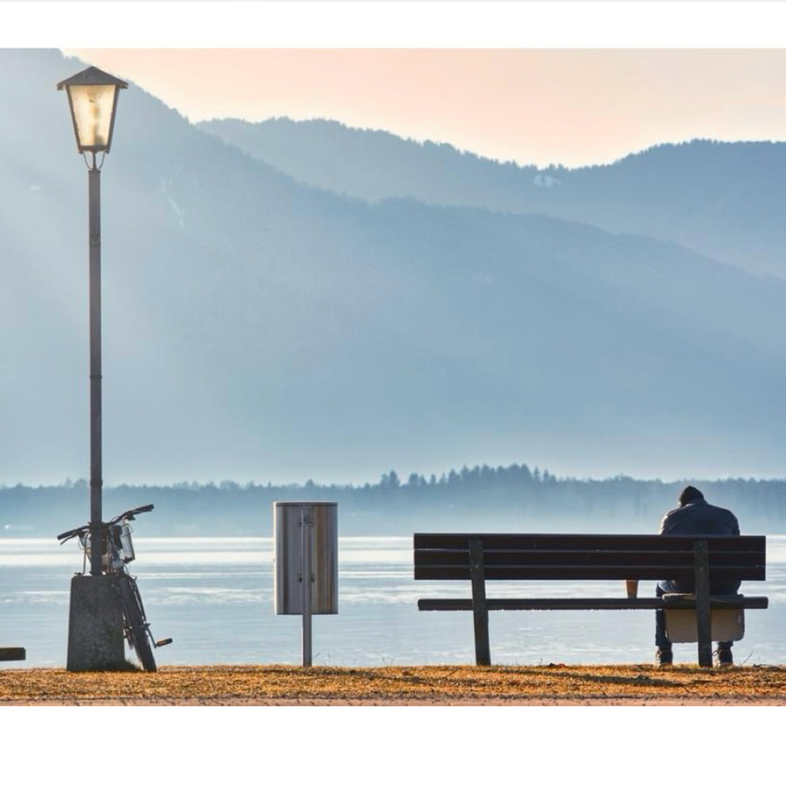 The Loneliness Epidemic:
And How To Conquer It episode artwork