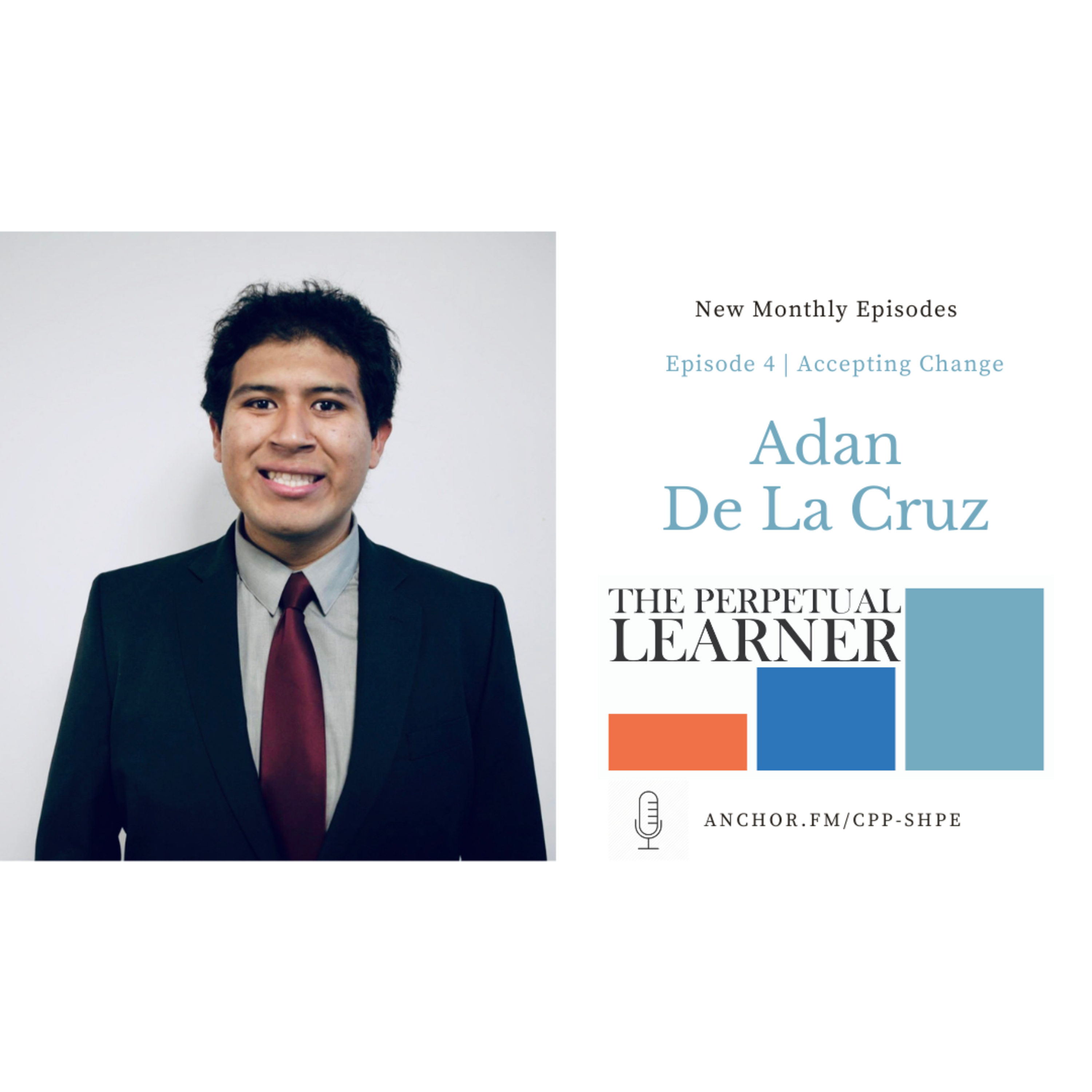 The Perpetual Learner