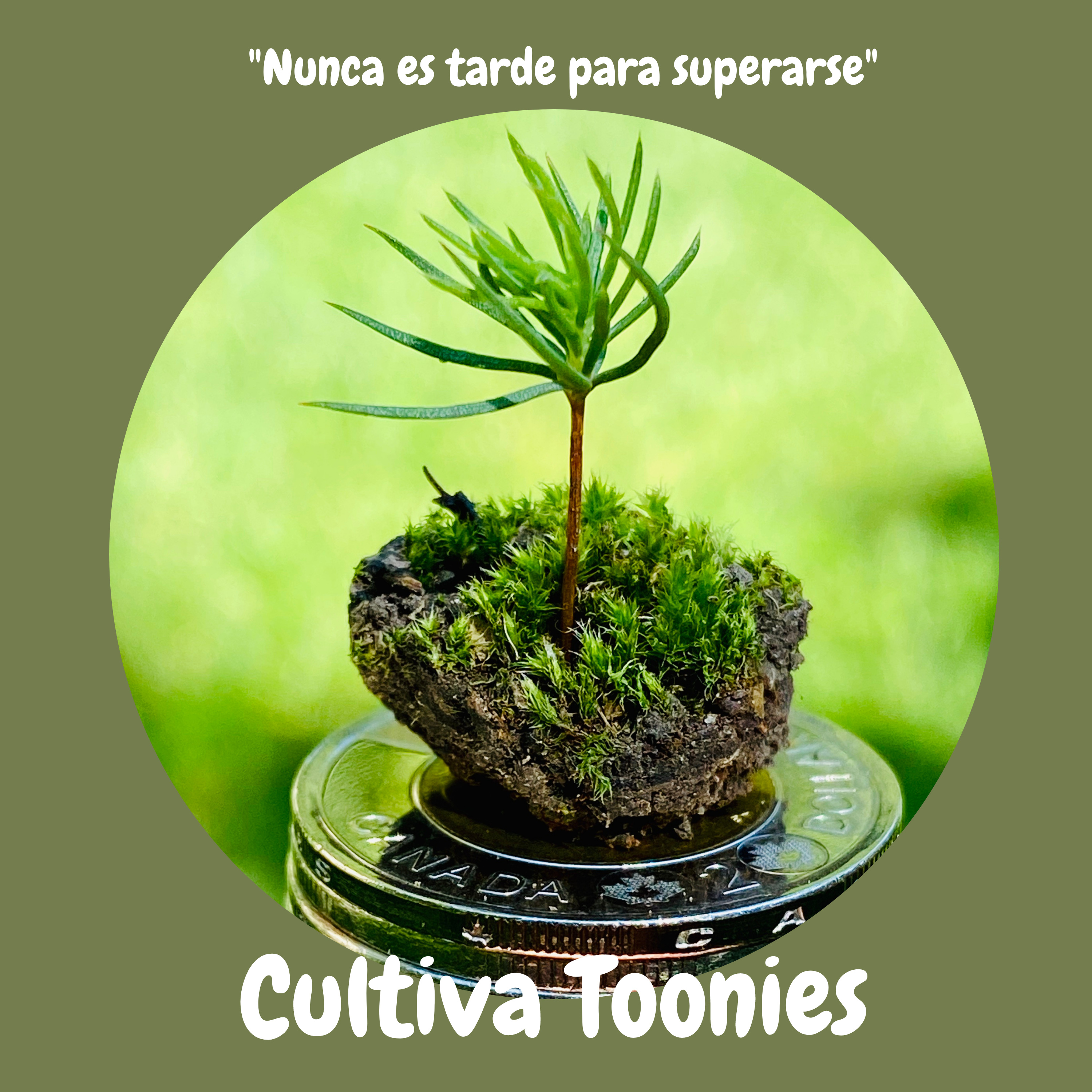 Cultiva Toonies