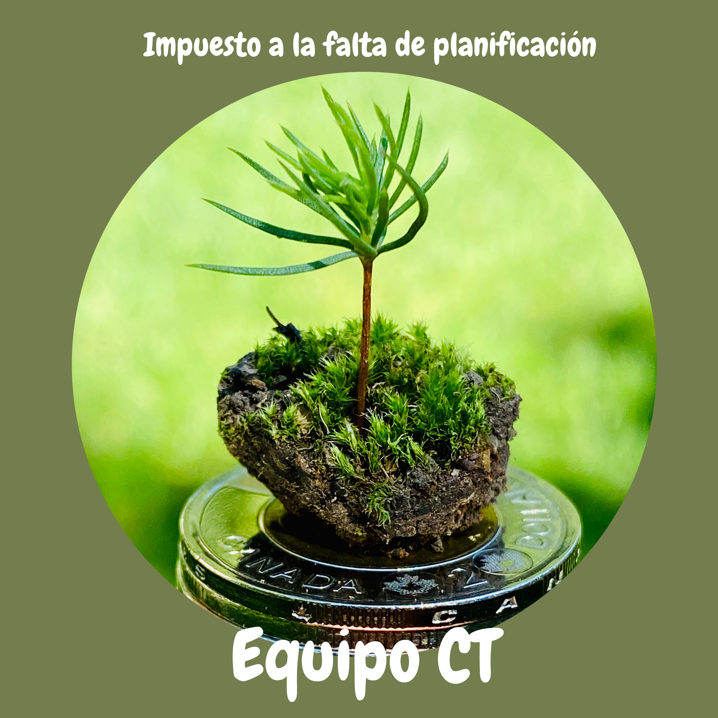 Cultiva Toonies