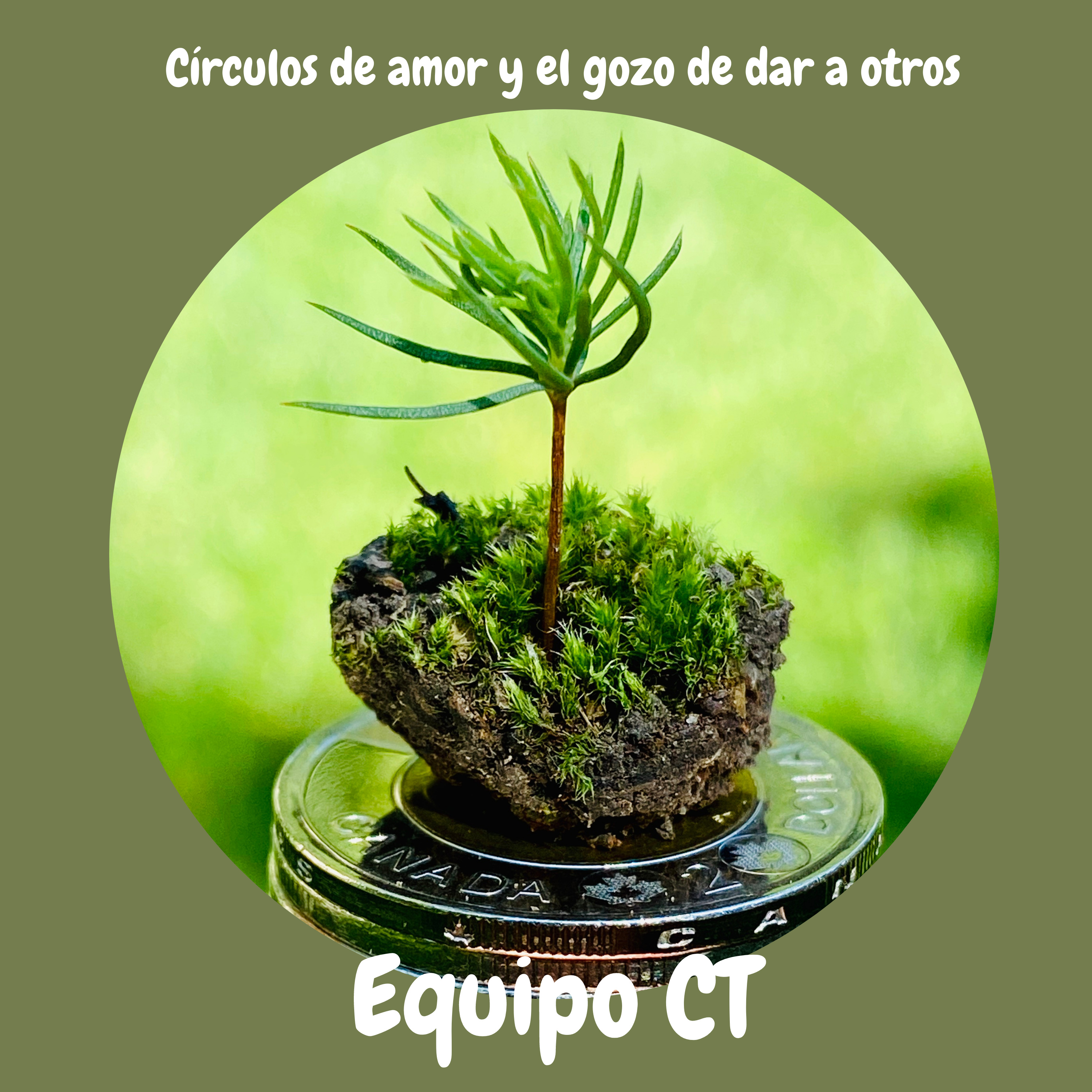 Cultiva Toonies