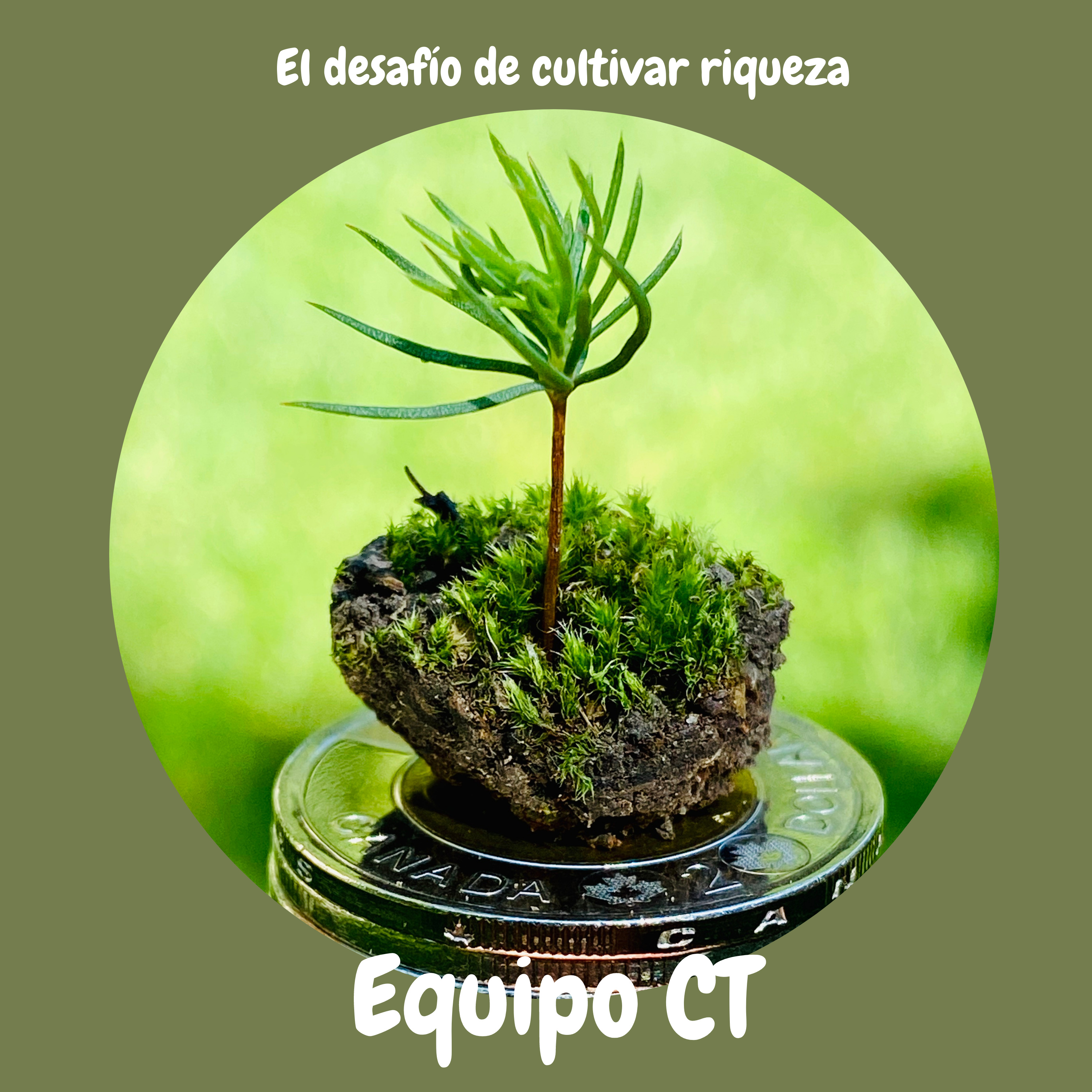 Cultiva Toonies