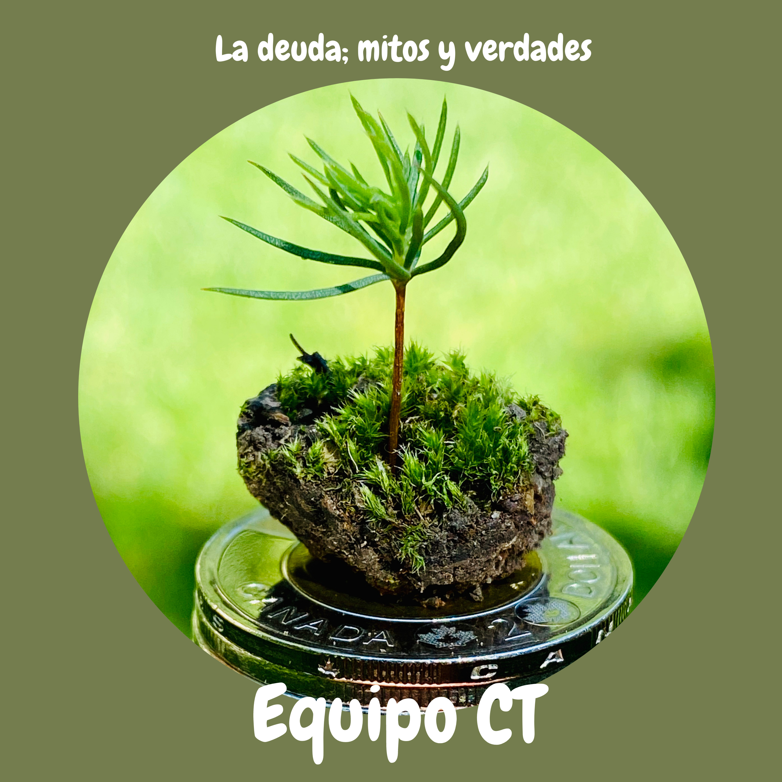 Cultiva Toonies