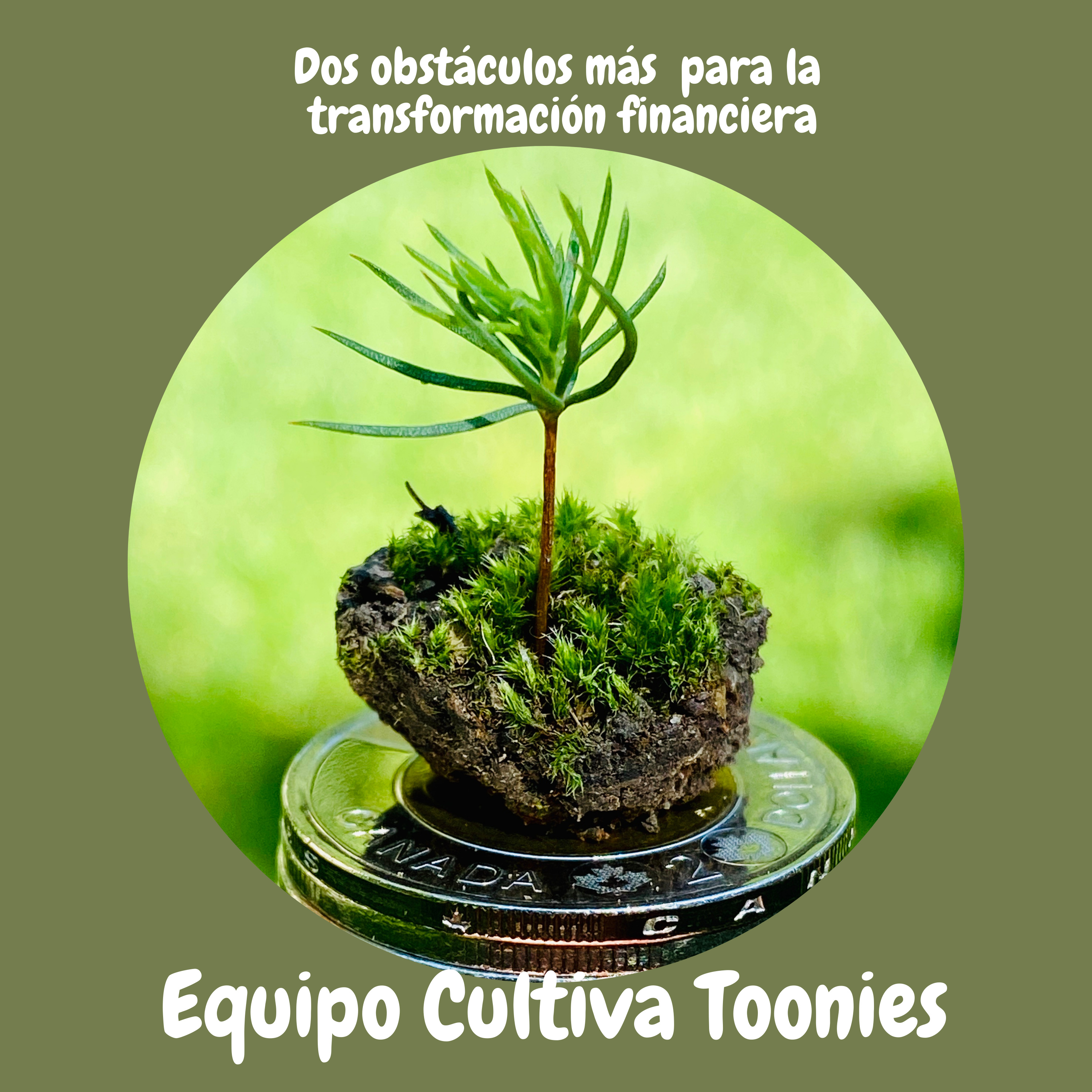 Cultiva Toonies