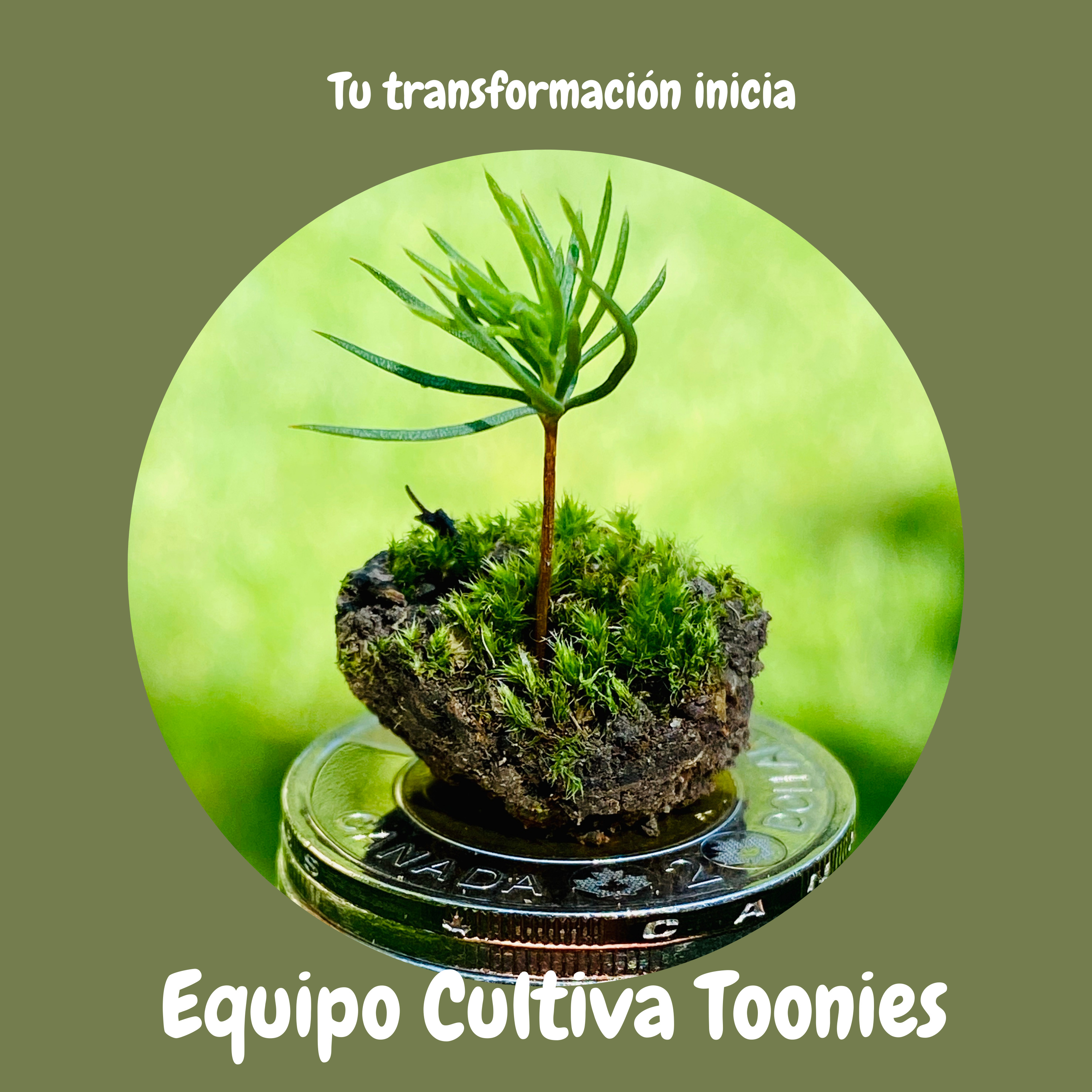 Cultiva Toonies