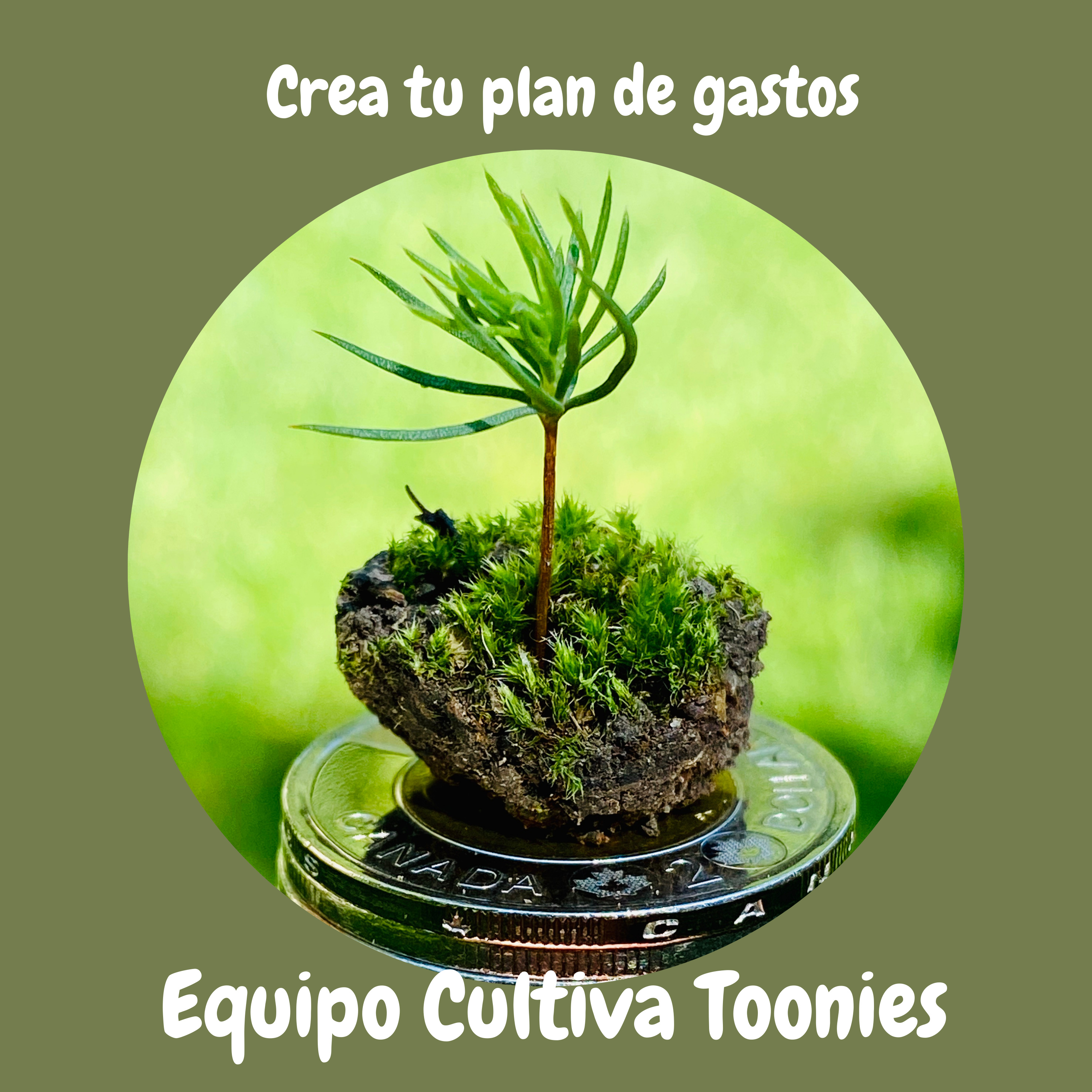 Cultiva Toonies