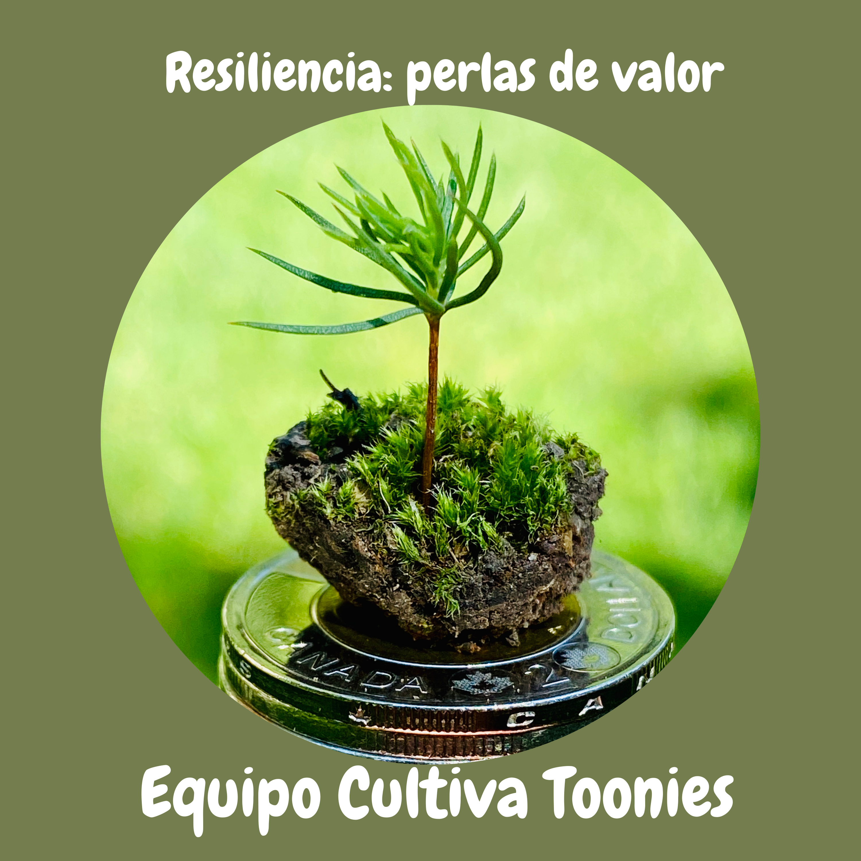 Cultiva Toonies
