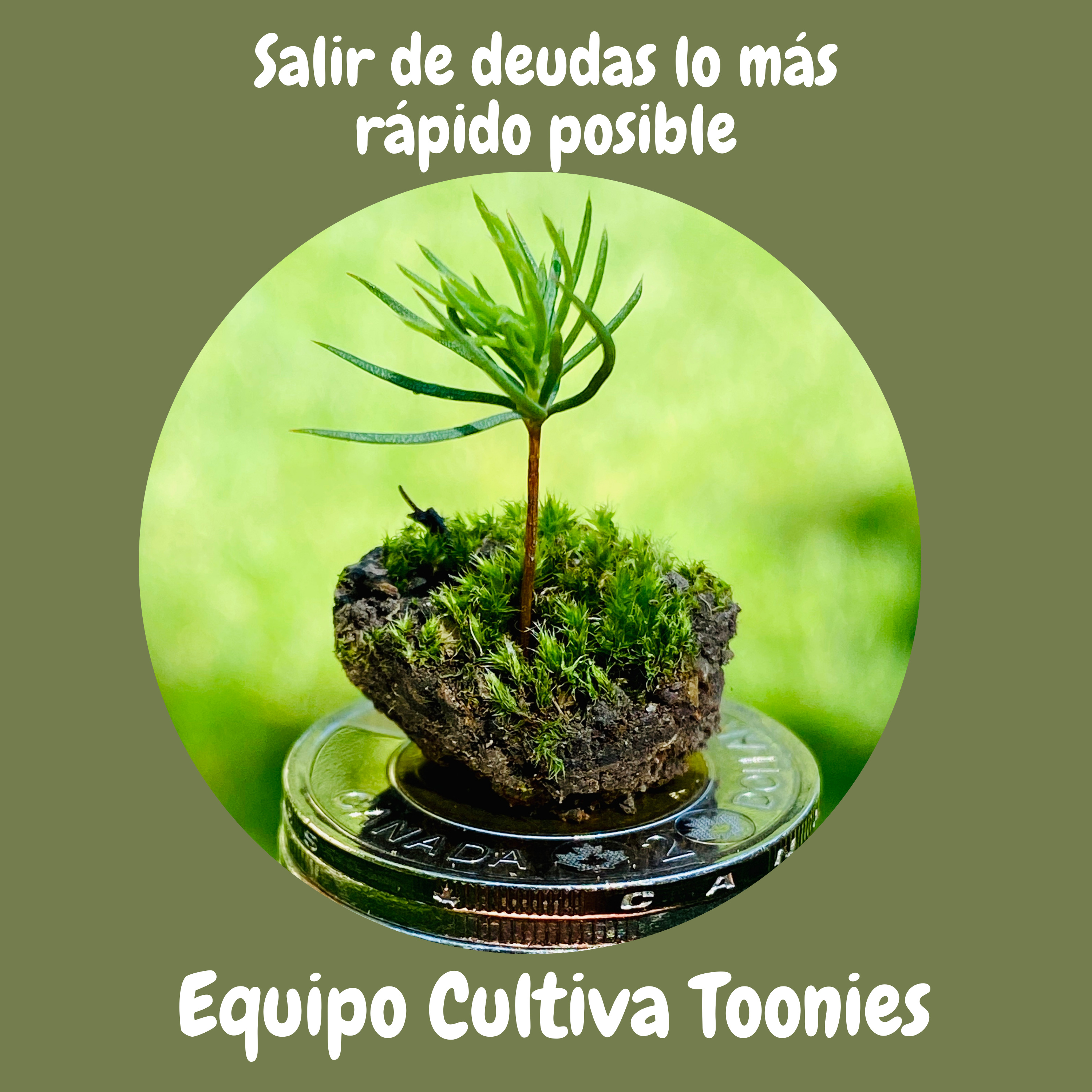 Cultiva Toonies