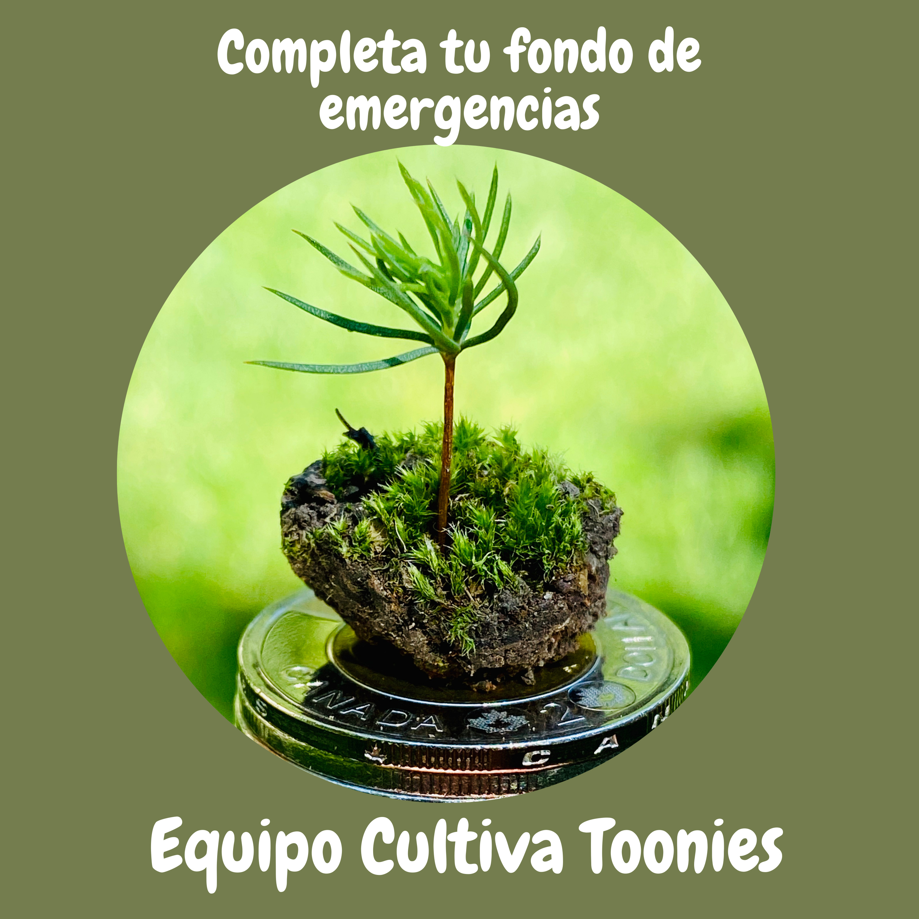 Cultiva Toonies